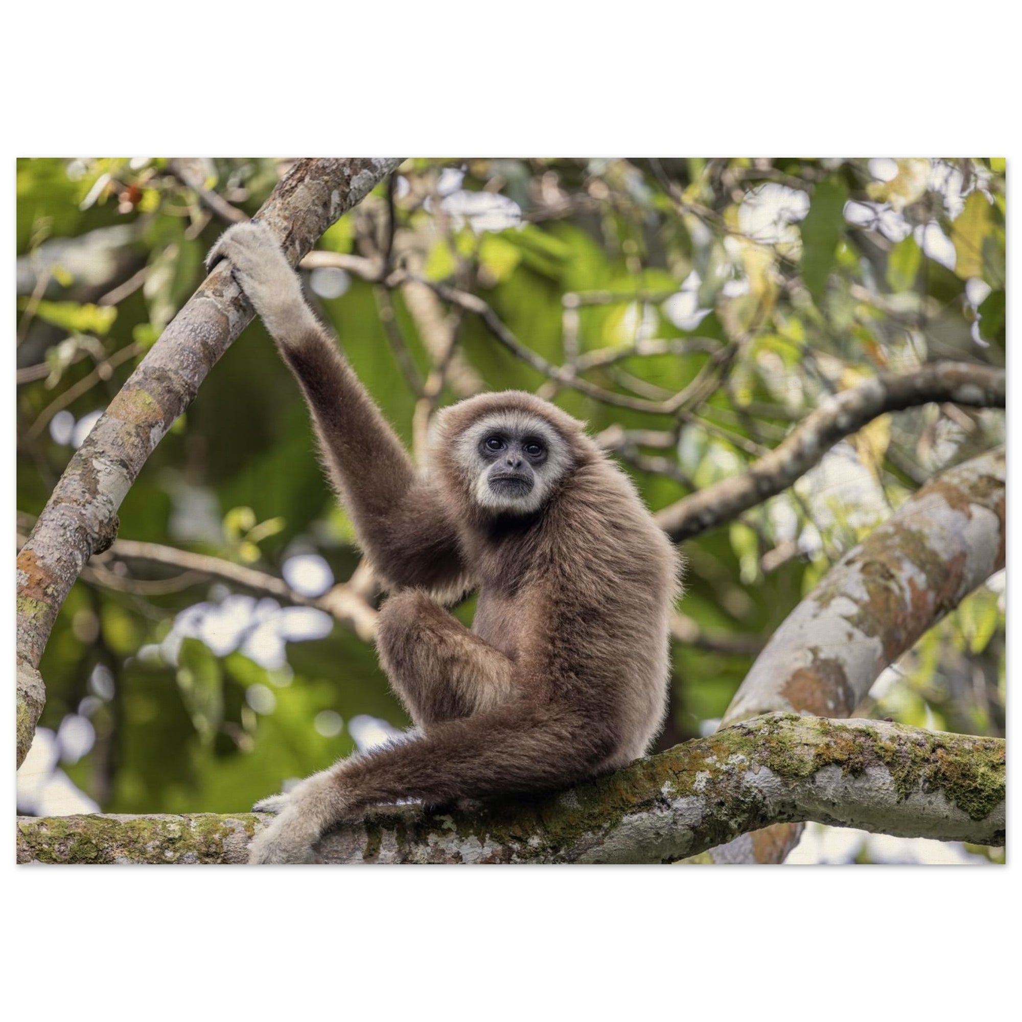 3ed606a8-d321-472e-bd7b-59e873a67211