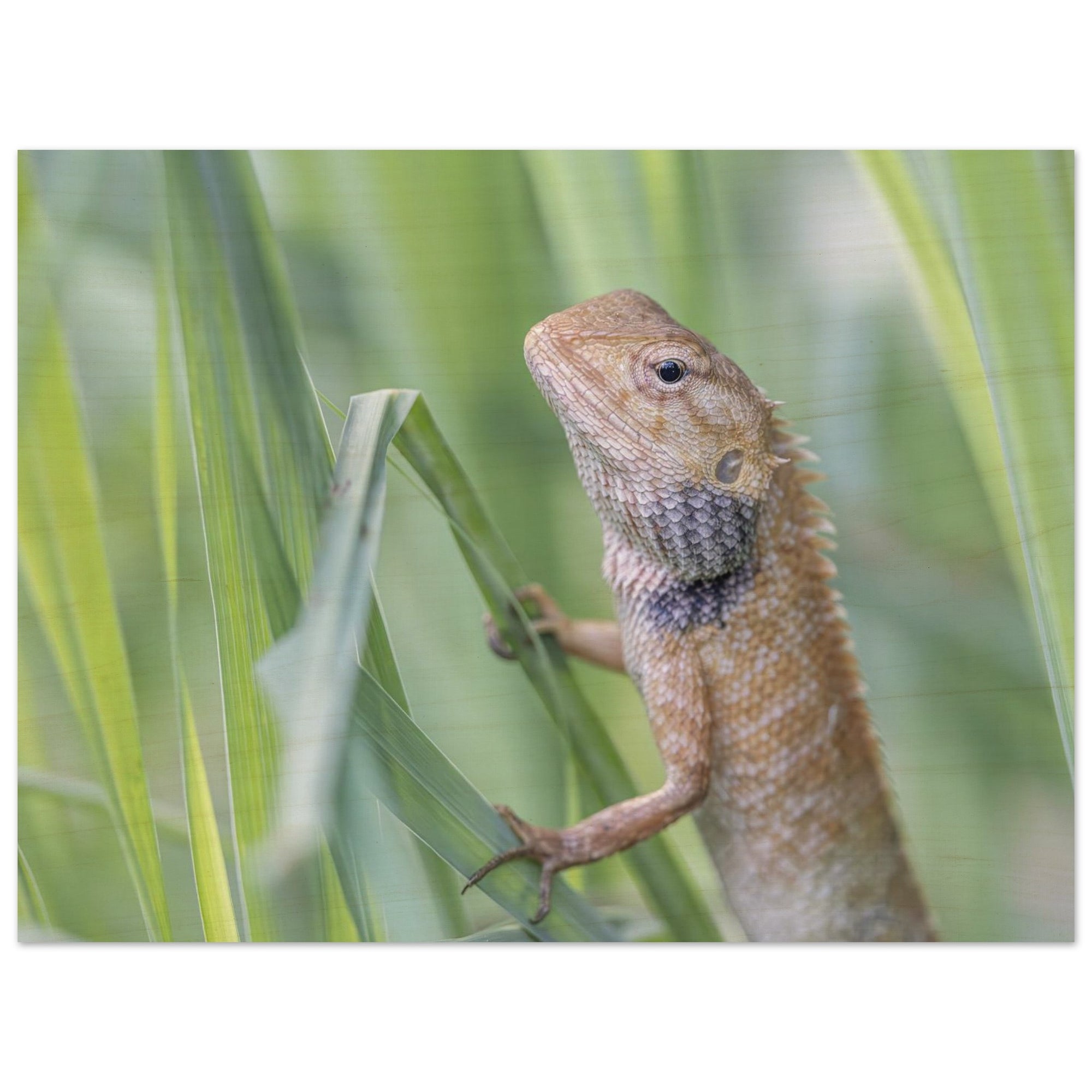 3fa40a5e-d524-4439-8f25-3f5ac76dac0e