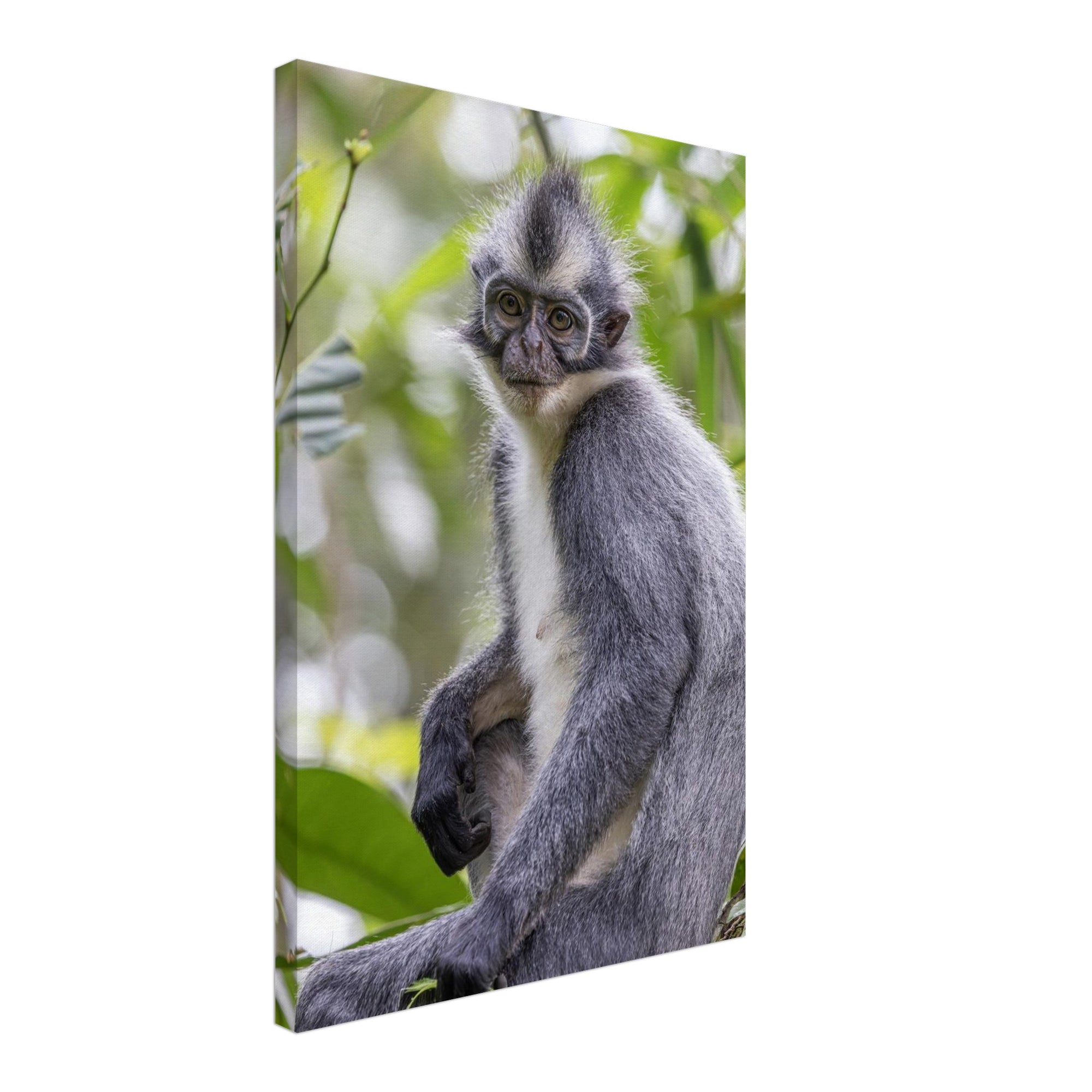 3ff0e4bd-0d53-46bf-832f-fb318e5a33e9