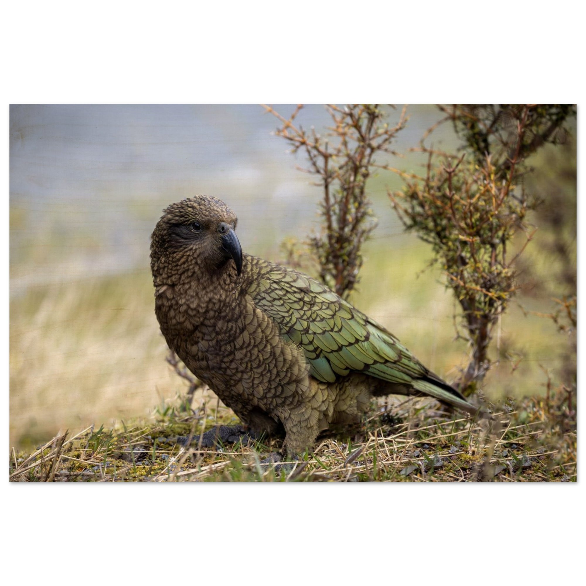 40603fa7-6401-412a-8fb7-882a141f3187