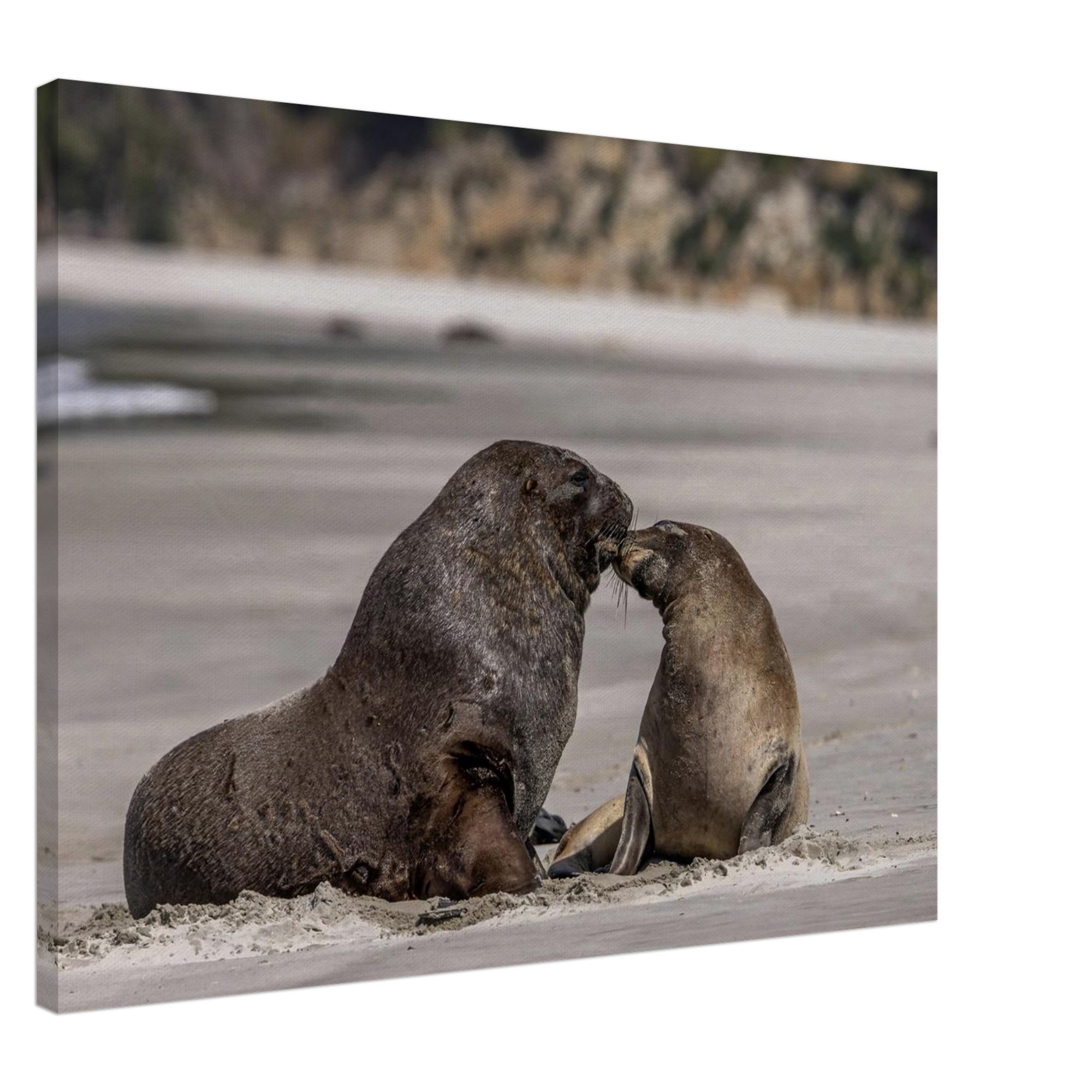 41a3a550-8656-46a7-bd02-f17bff065984