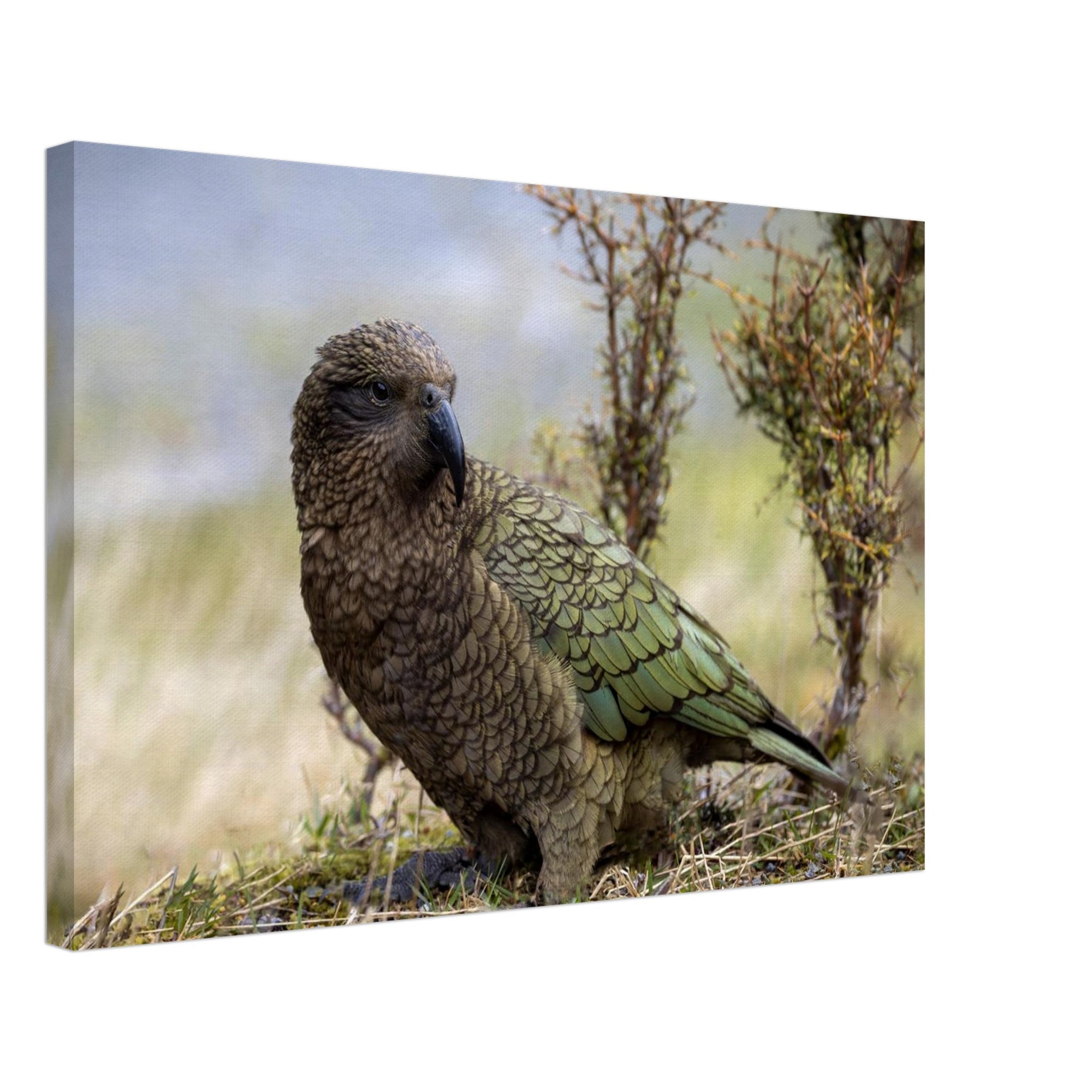 46e2bad8-b3bc-4d1e-a79f-3693afd3cbe2