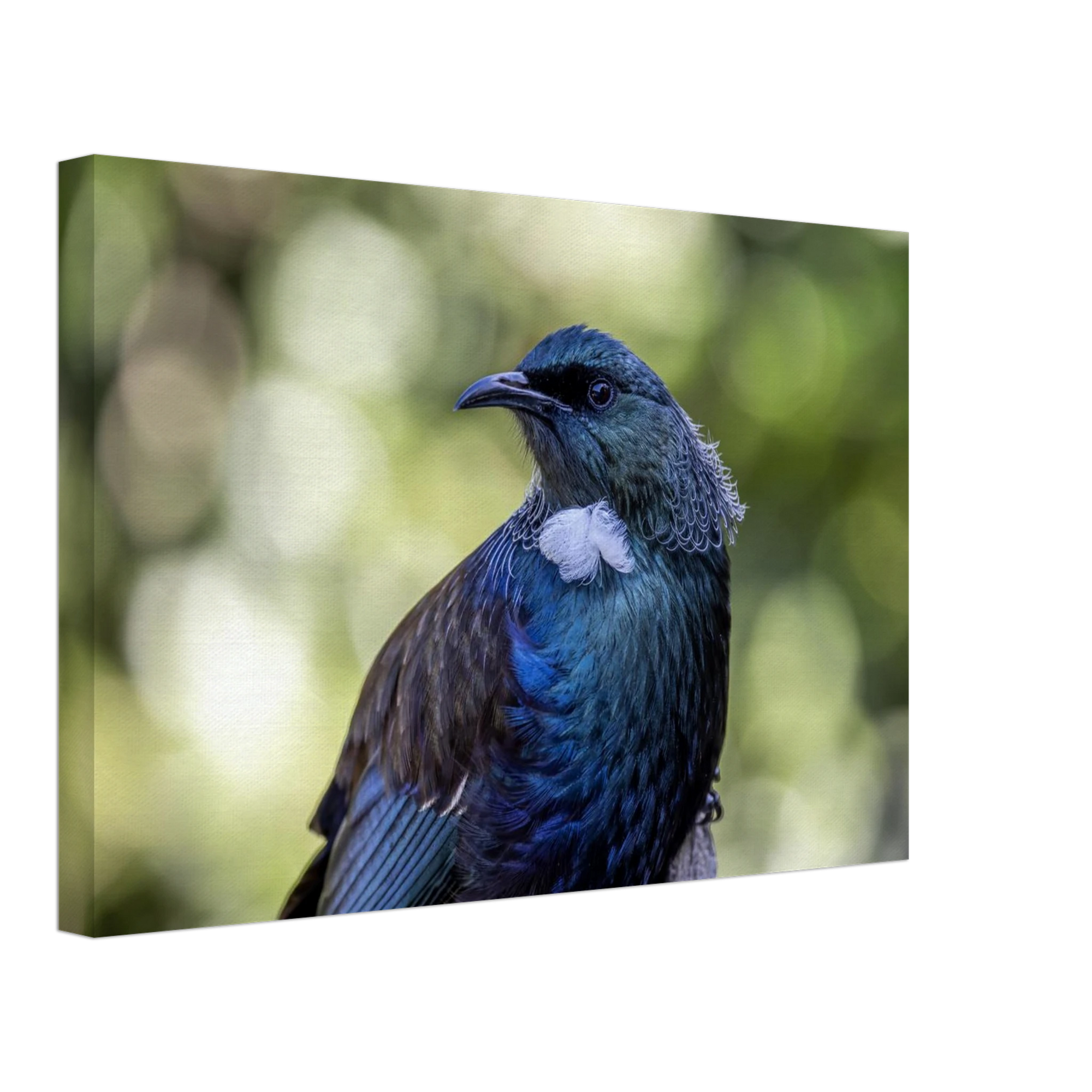 475a1520-5f5d-4277-ba0f-b728e5c412d6