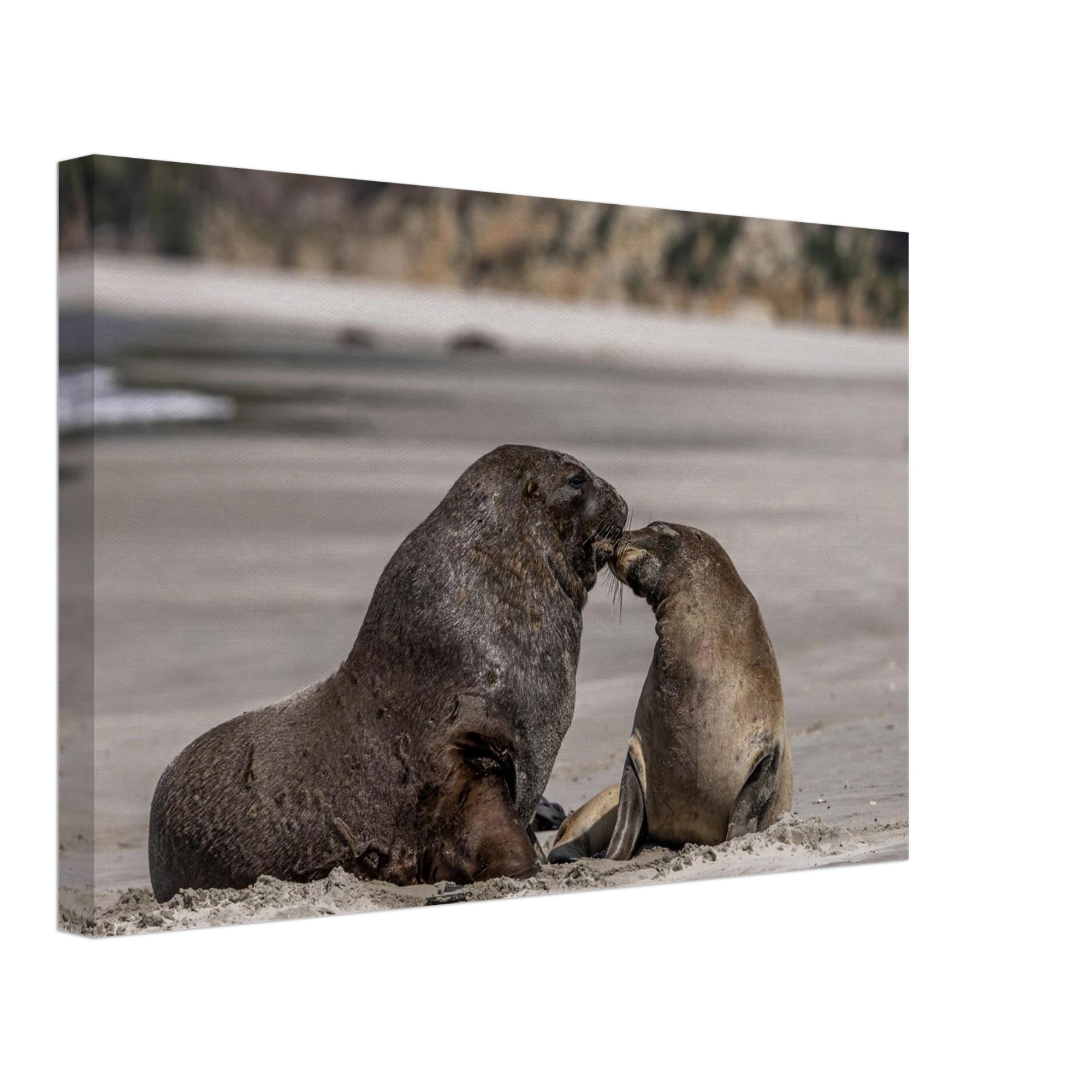 481b22b9-0ec1-47d4-b98c-3fb5d7f3b1a4