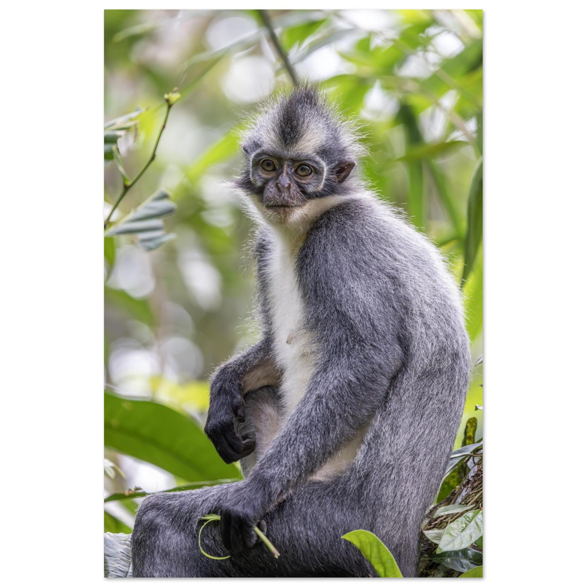 4b94ab32-11ed-4752-83bf-aa8516bd25db