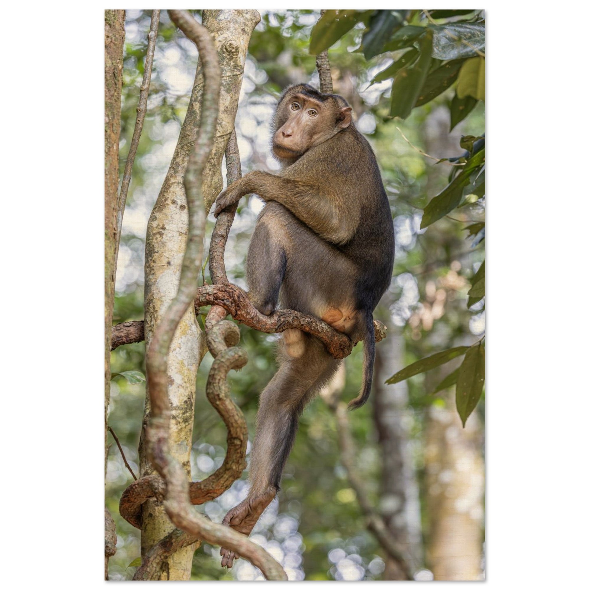 4c4d859a-321c-42e0-820a-e7b20964d0c0