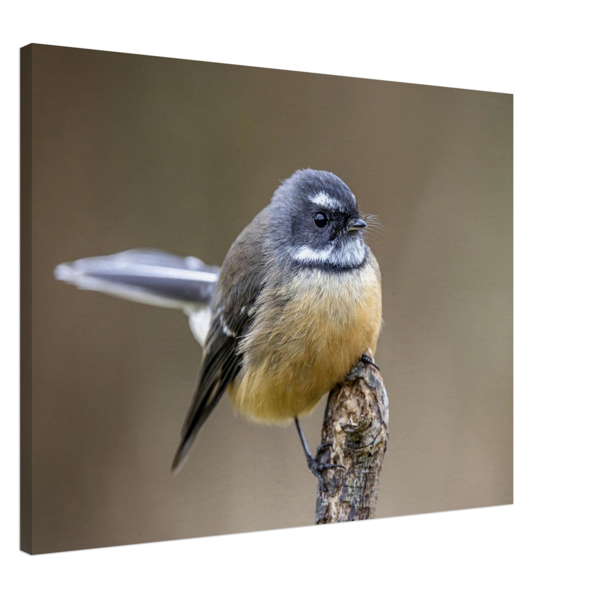 4c672989-fca7-487f-ac7e-1f199e719a7a