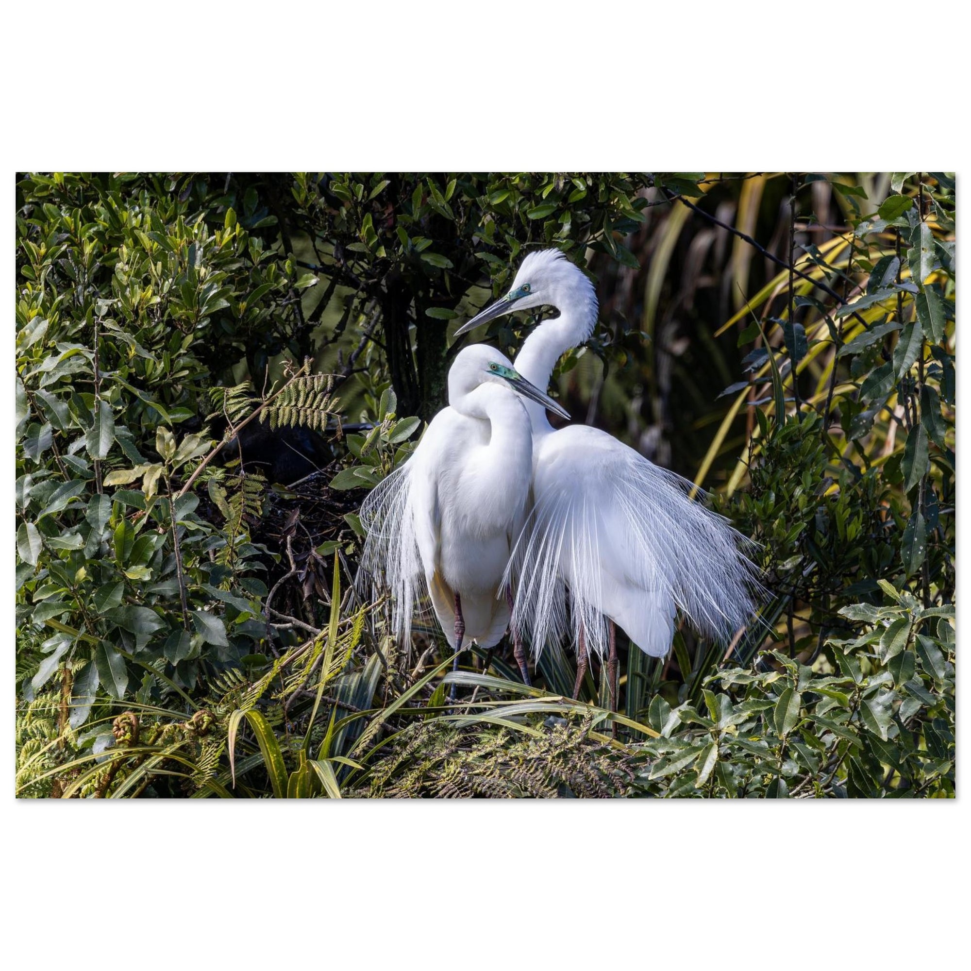 4c6ea51a-0773-4c3d-a93d-5d1816258134