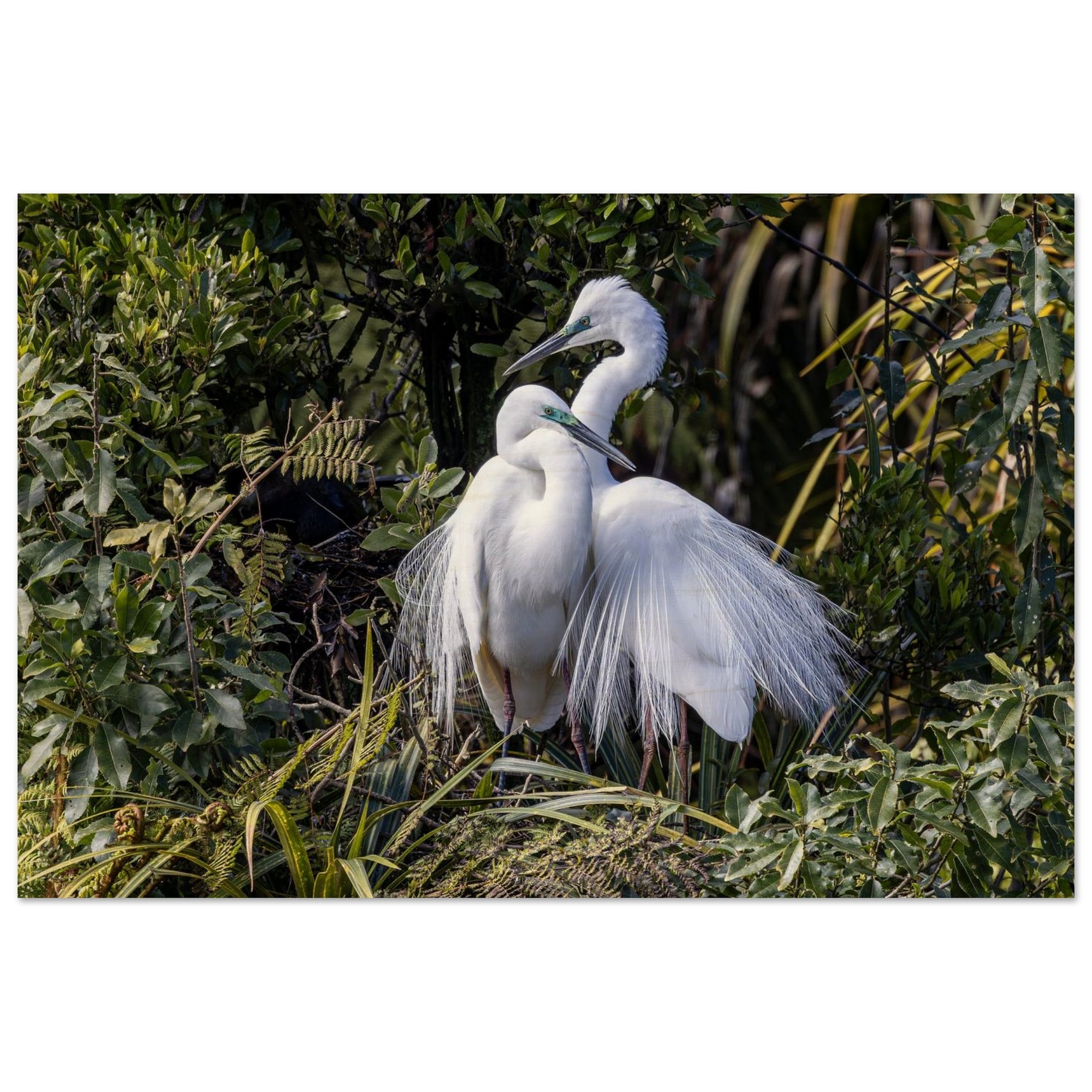 4d62aaee-5185-42fd-a8bb-4c6f1ed89472