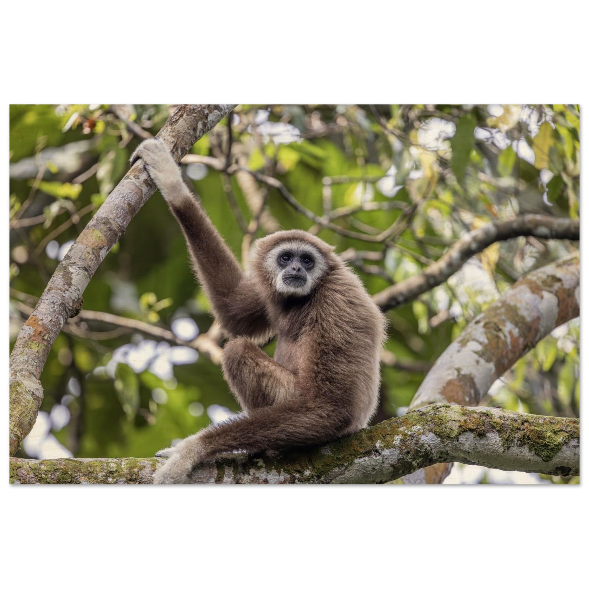 4dbb3a7d-d060-4f6f-91af-d5eefd924e23