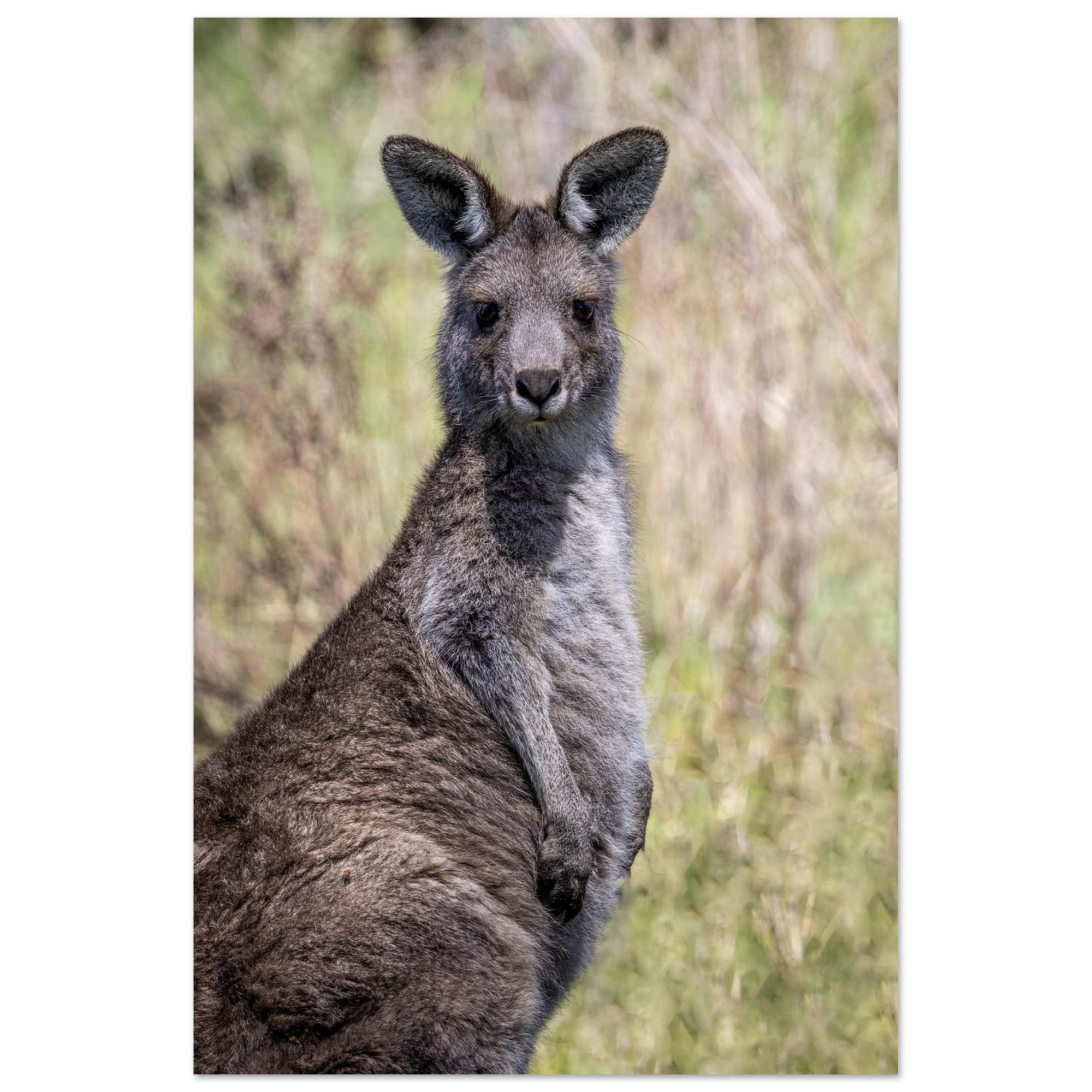 4dd36f44-a210-410b-831b-f806351f4324