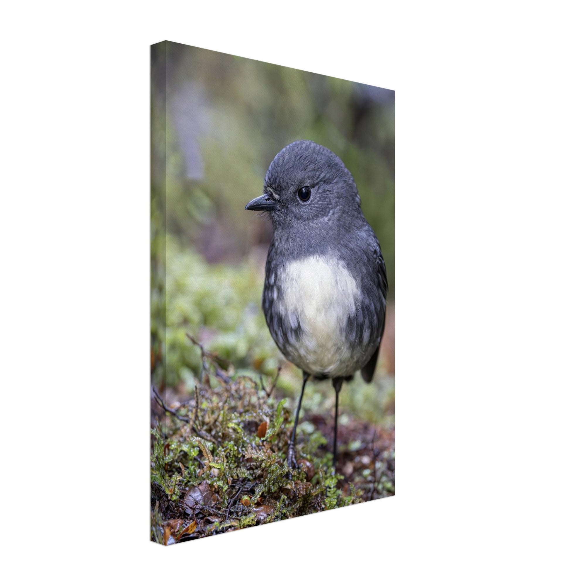 4fc574fb-b5a3-4b8e-8844-a1fd019d8cde