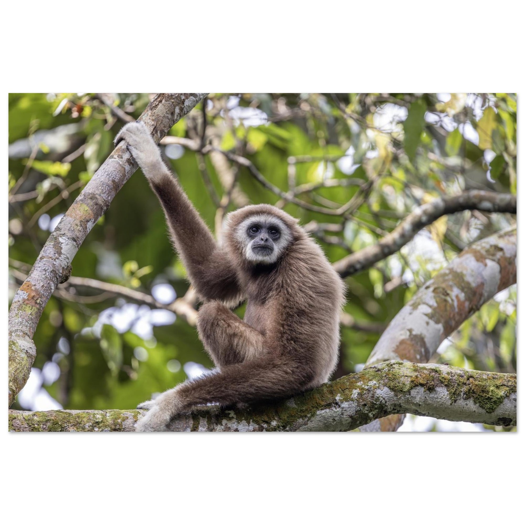 51c747b5-3cce-4cda-b246-6cc6ba5f2cd3