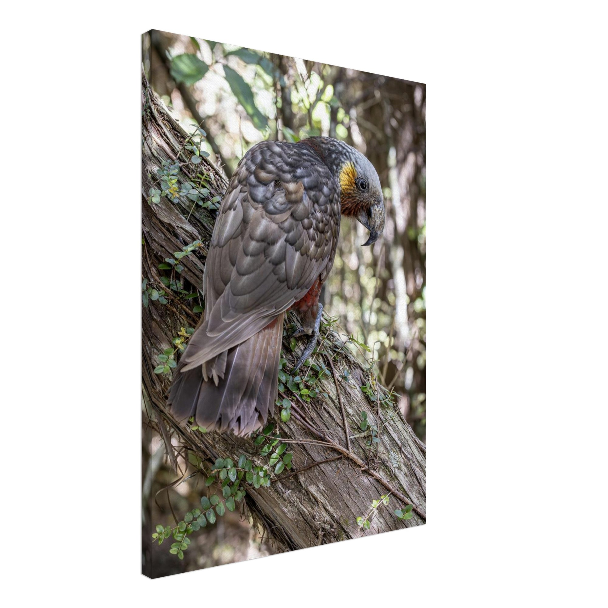 52edfe64-6851-407d-b968-800fcdbc4317