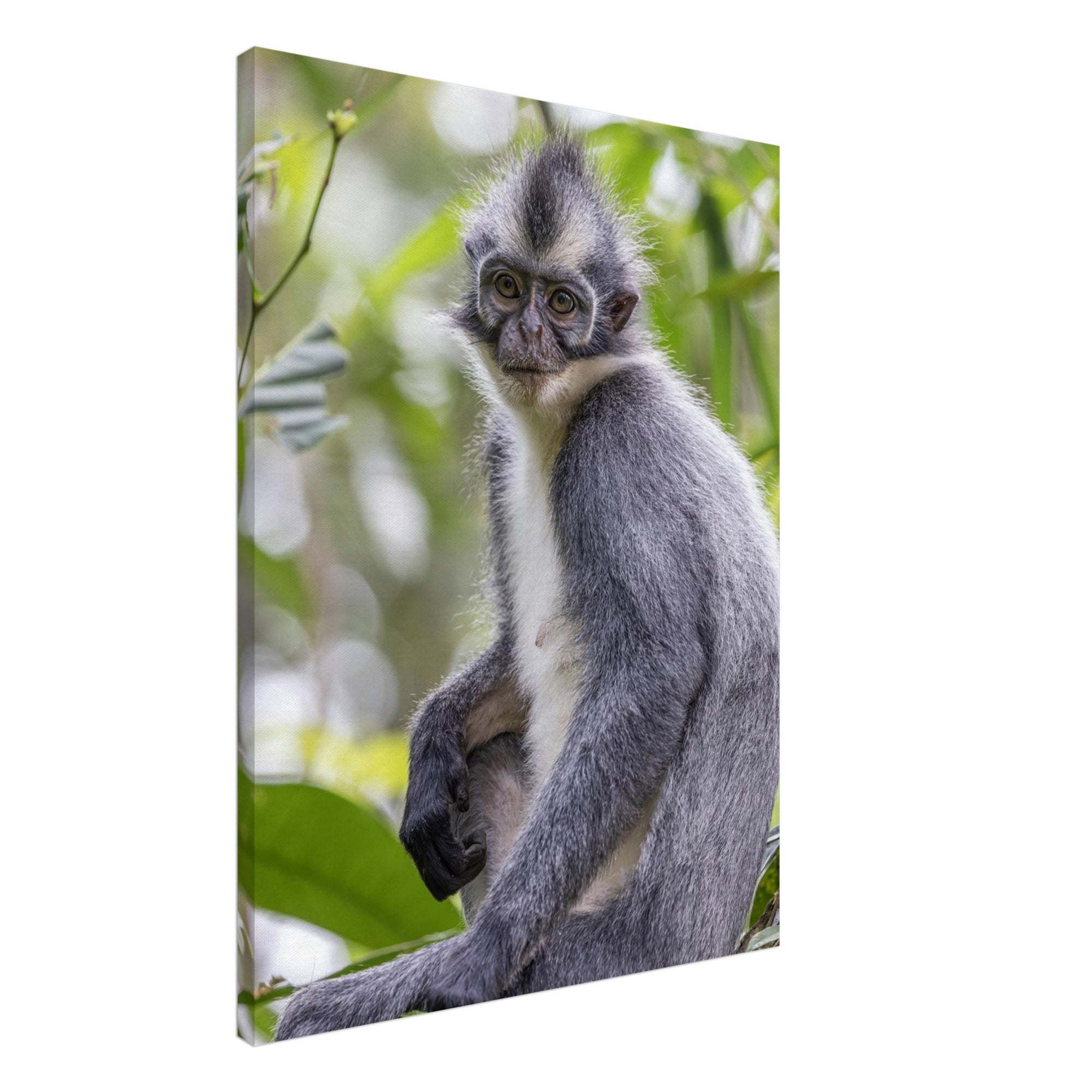 52fdb2d8-7dbc-4e3b-bcc2-ea370474cc07