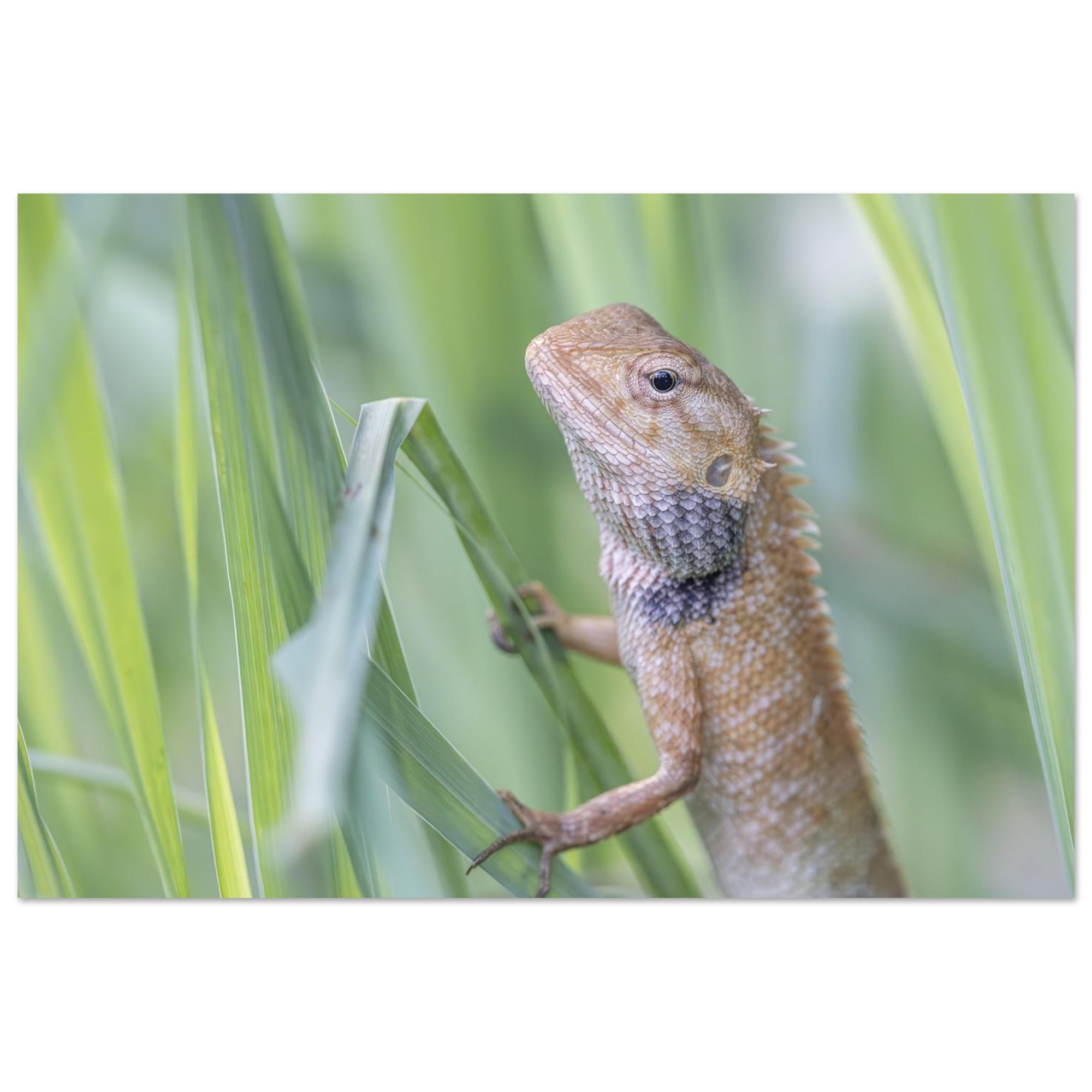 54e0d763-8146-4365-b64f-0f618a01241e