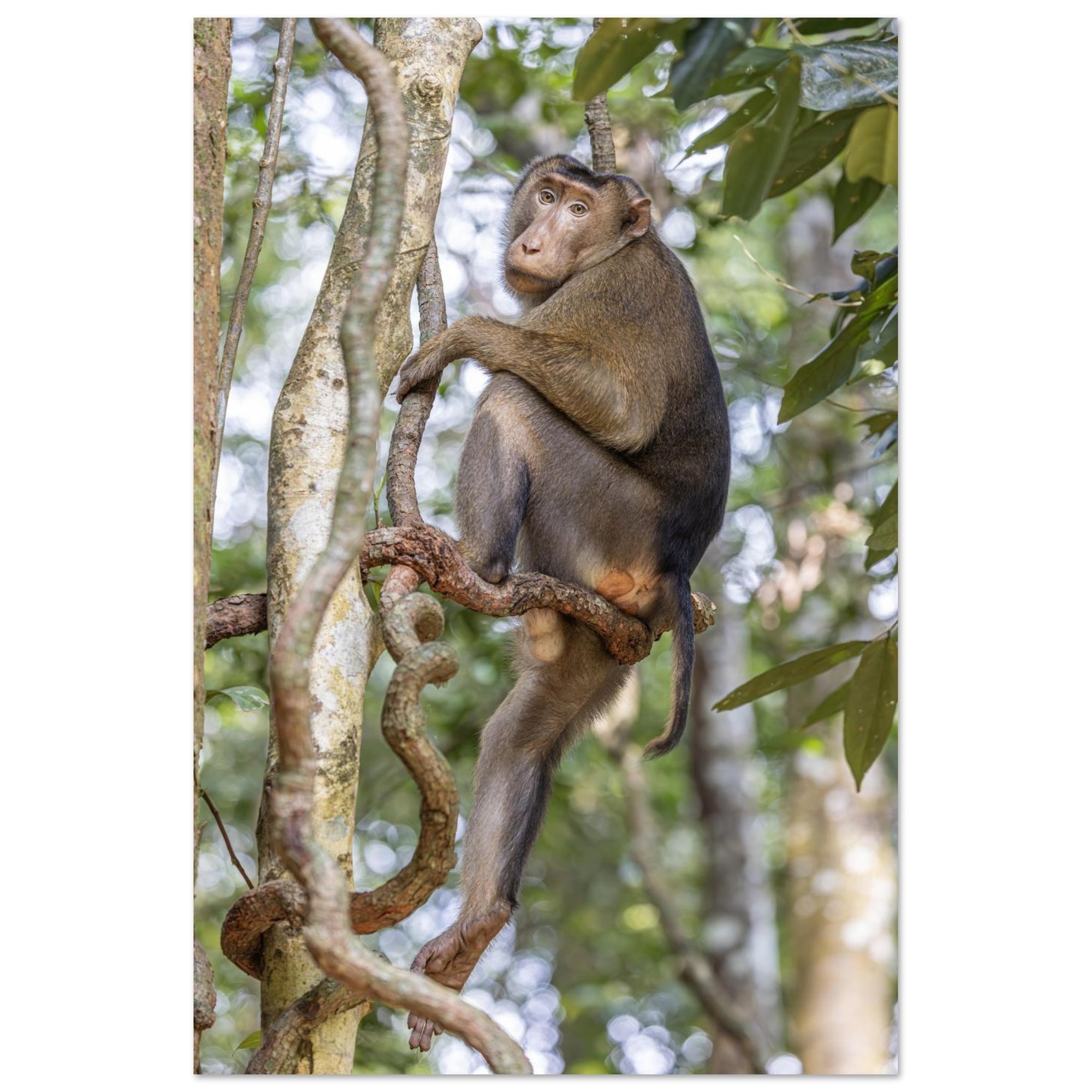 56a11944-de14-496f-b22b-2ab88ff66dd8