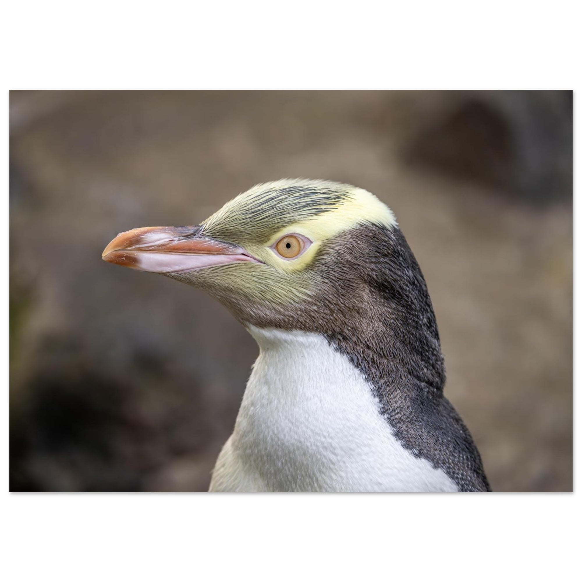 5bd766d7-ebef-424d-b646-26db5b5429a2