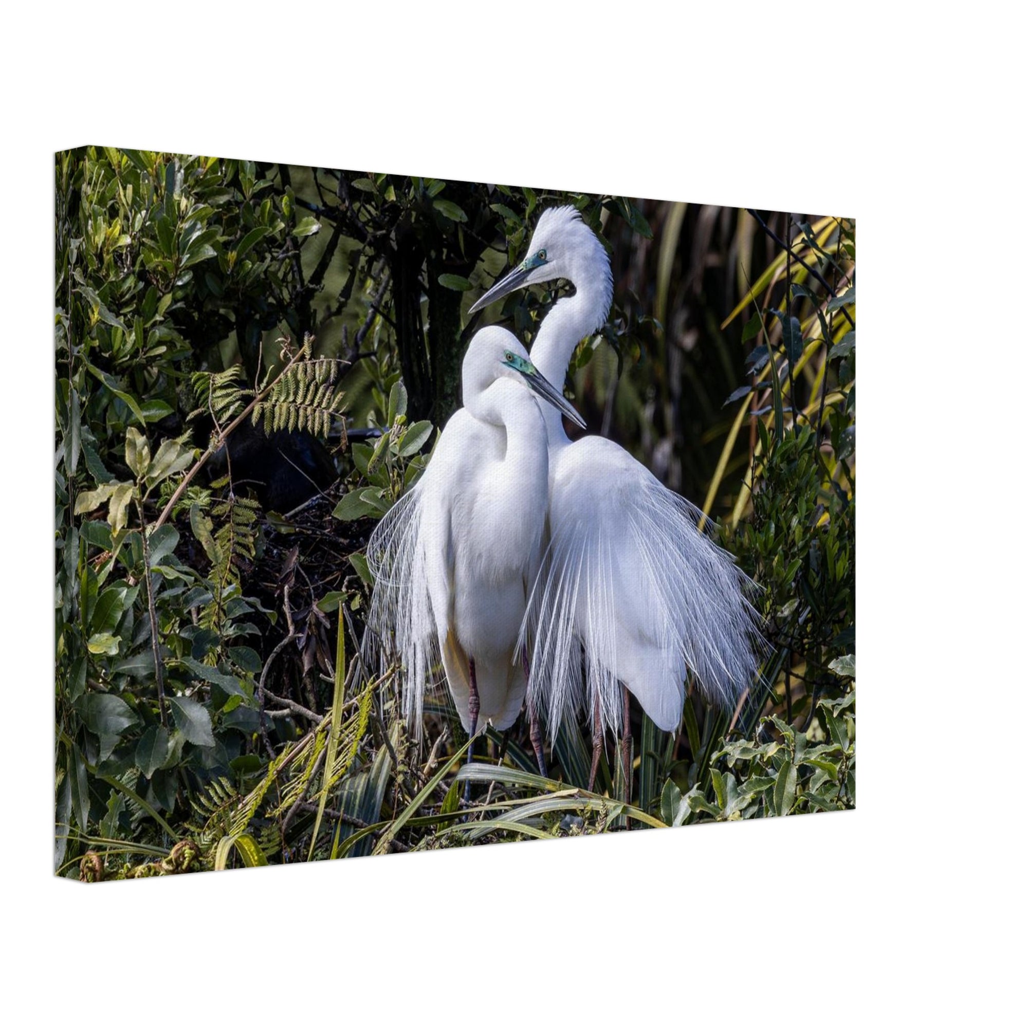 5bdf5c2a-02e5-47ab-98cf-8324eb49b516