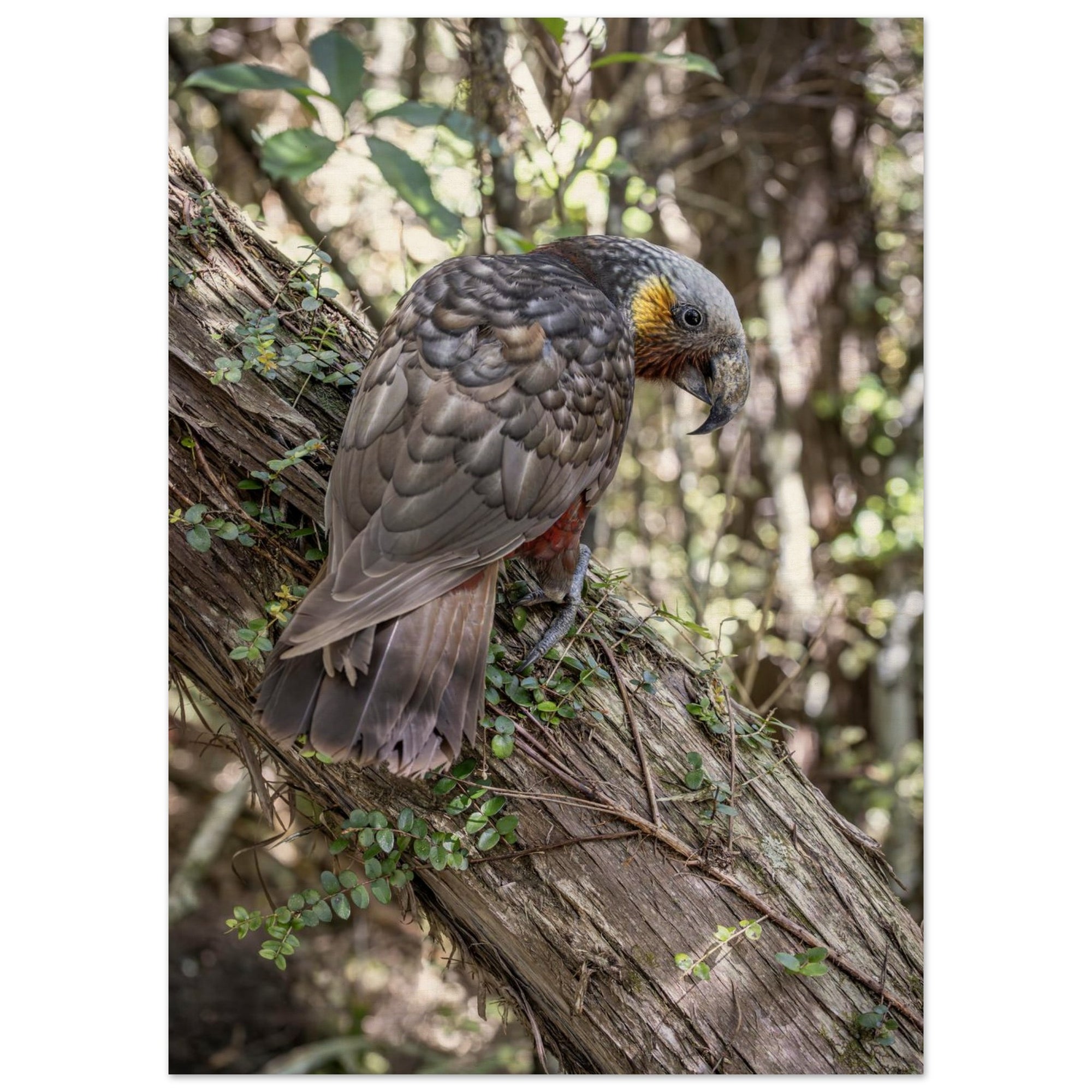 61a5a7f2-cc06-45a6-8d4d-27dd36bbbd4b