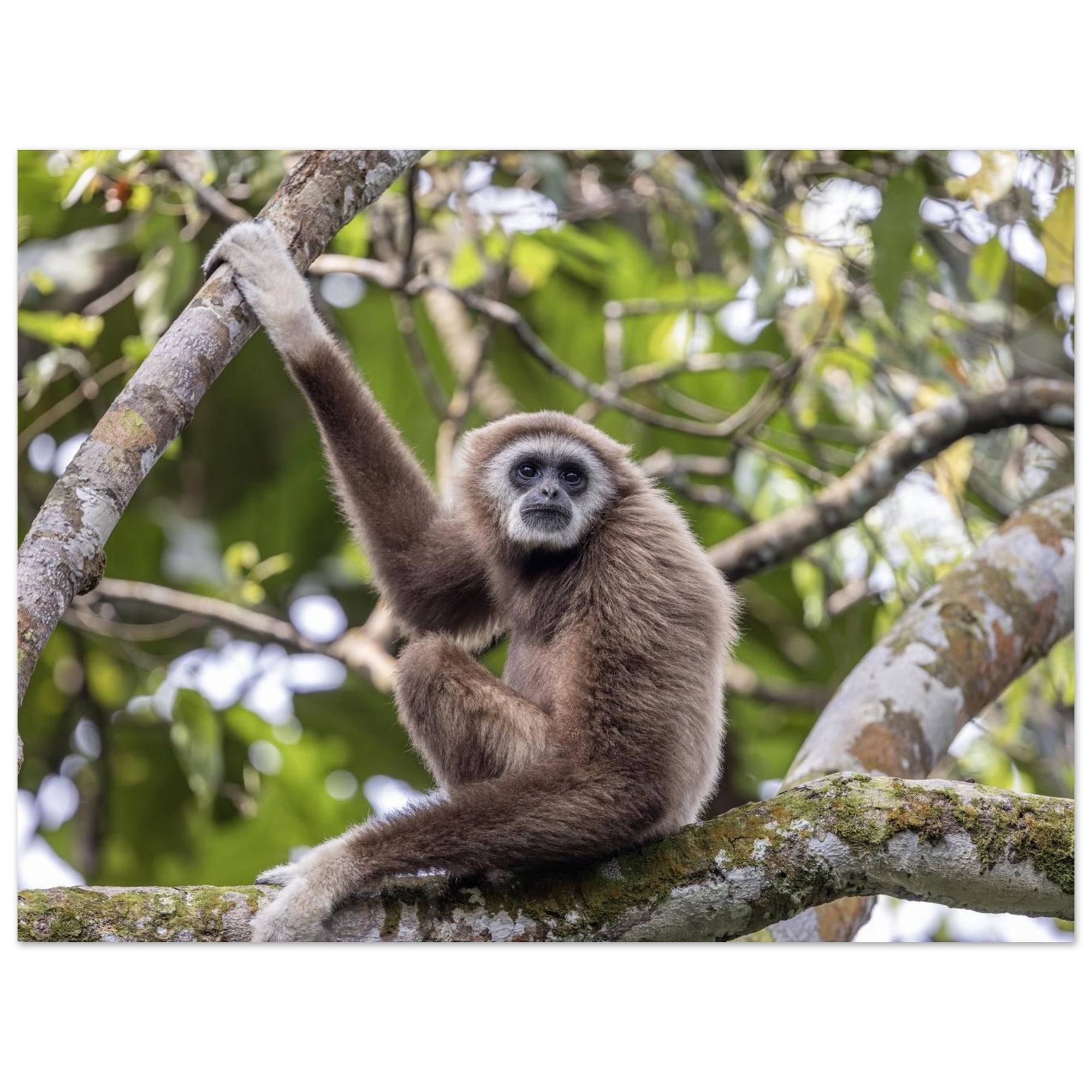 63575cd9-11e3-4b1e-8854-a26b2a46c27b