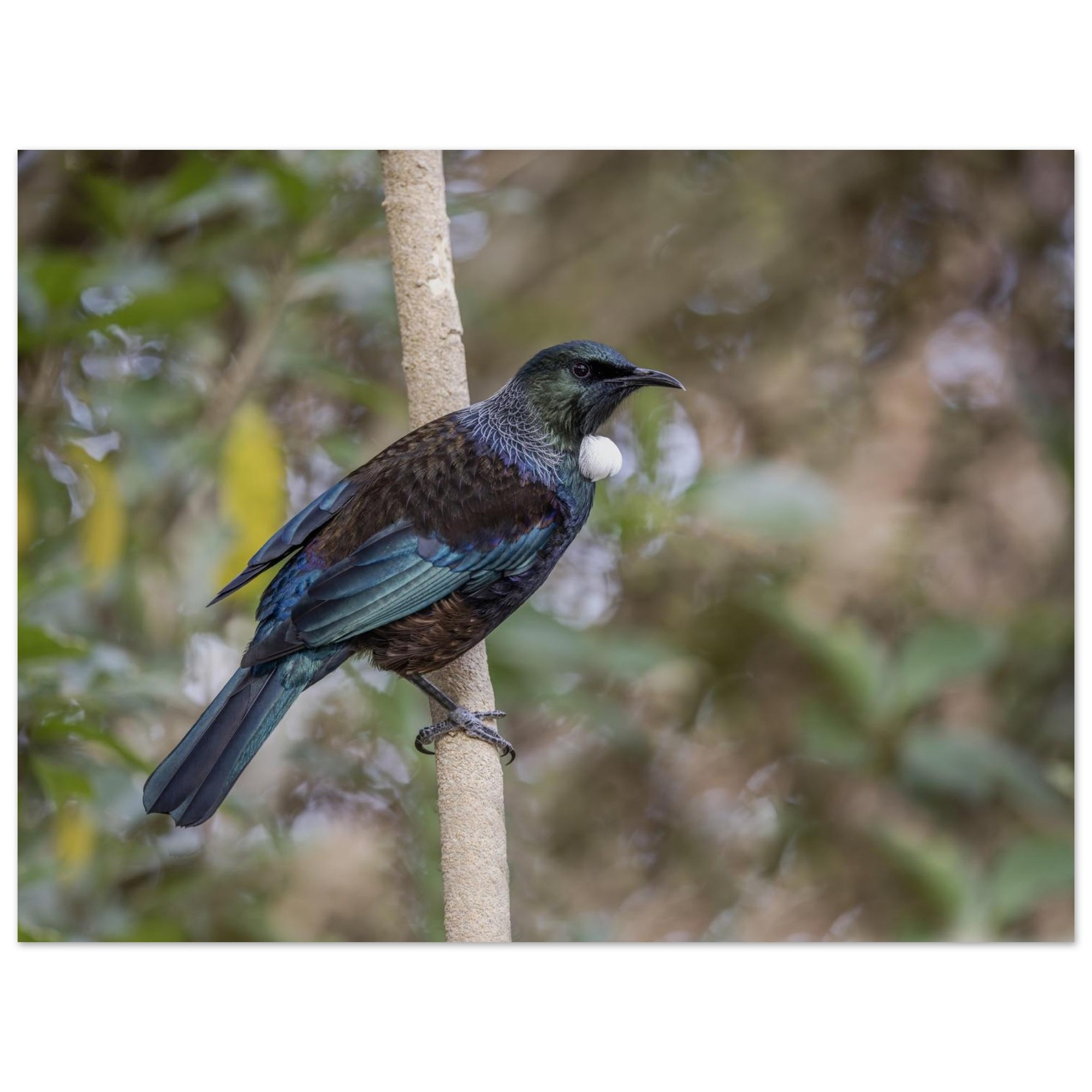 635b7304-ceba-4802-a403-96f6c217233b