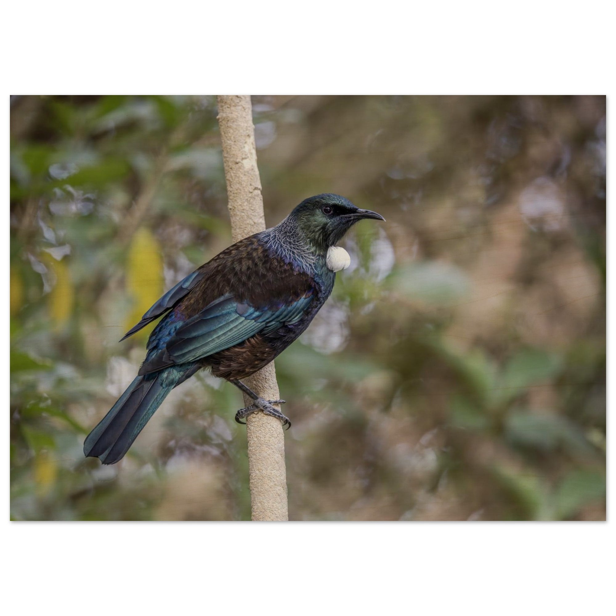 647f9335-10e4-4934-984a-57c61c73bae9