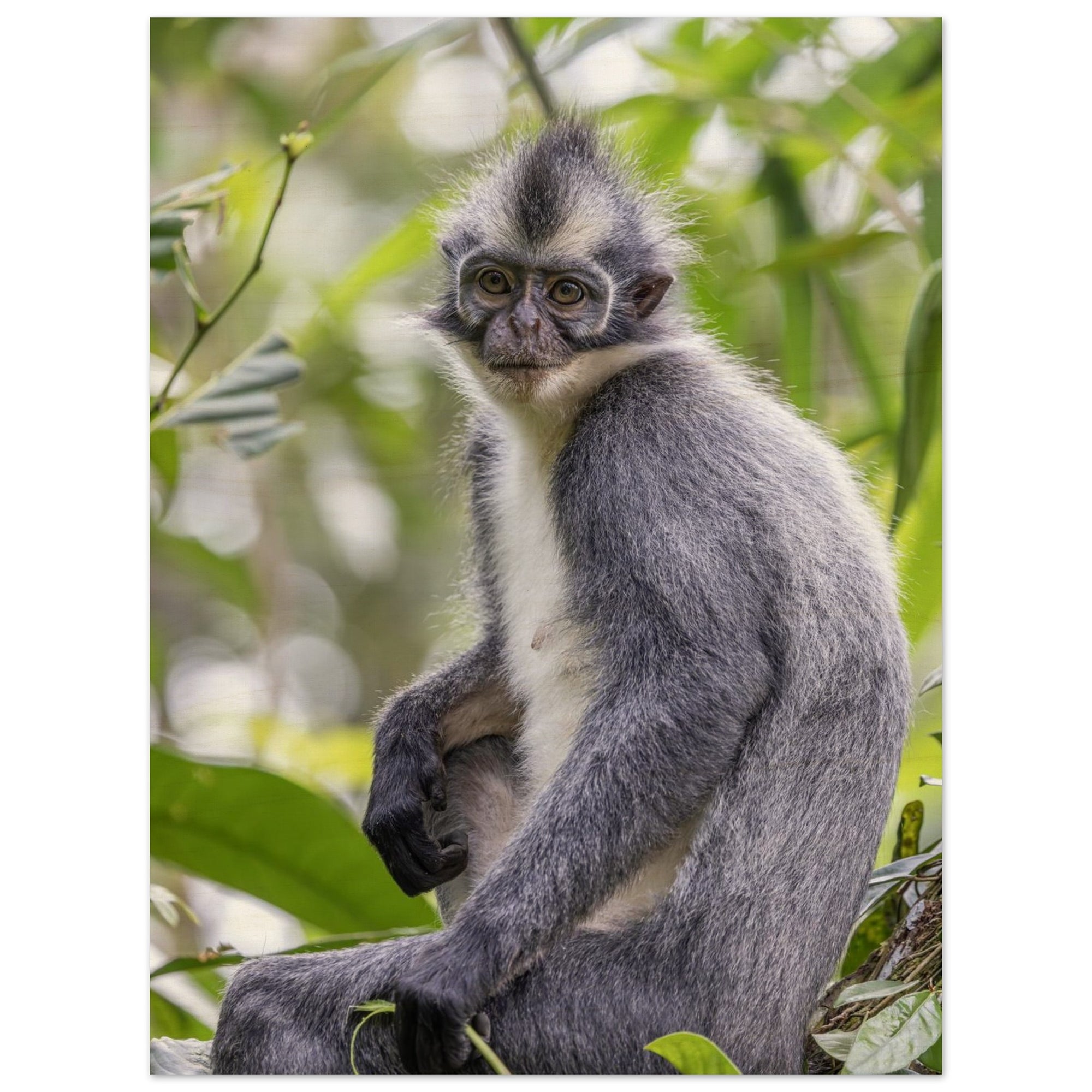 650babba-d5fb-48c4-b618-79762503b84a