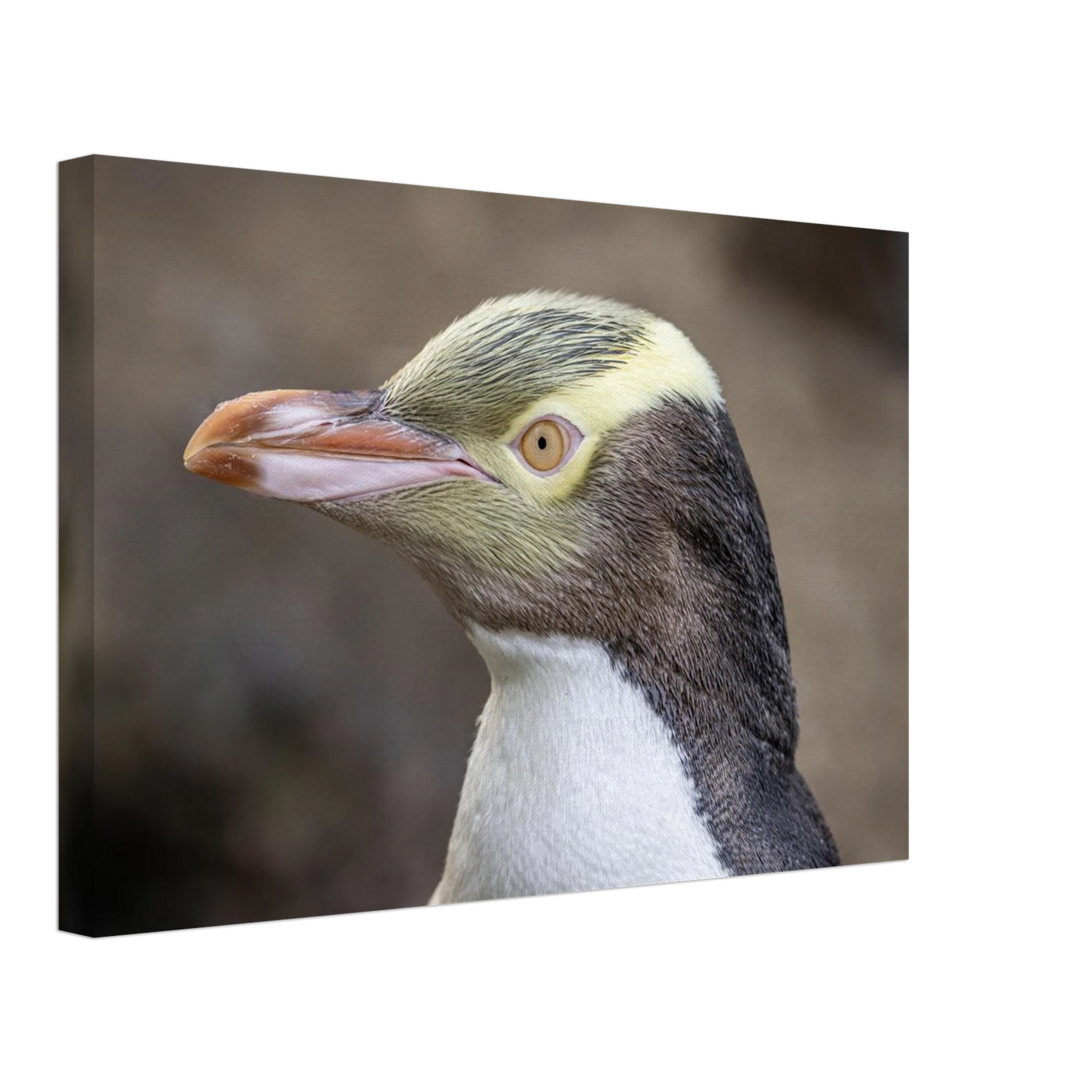 660957ea-87ec-401b-9c90-d97927b273c9