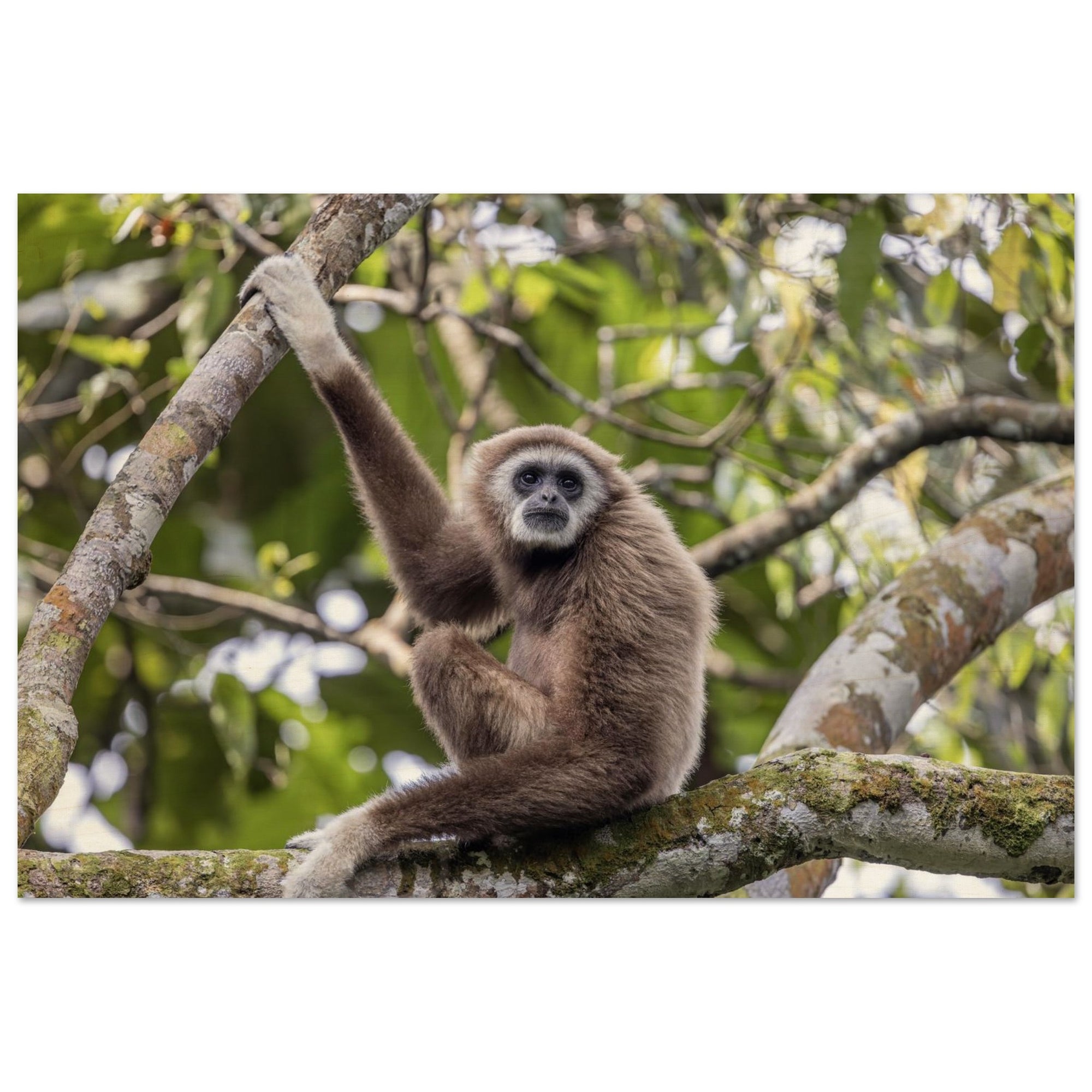 6abe7949-fdca-4d0f-b5fd-3ebdaa57b6e0