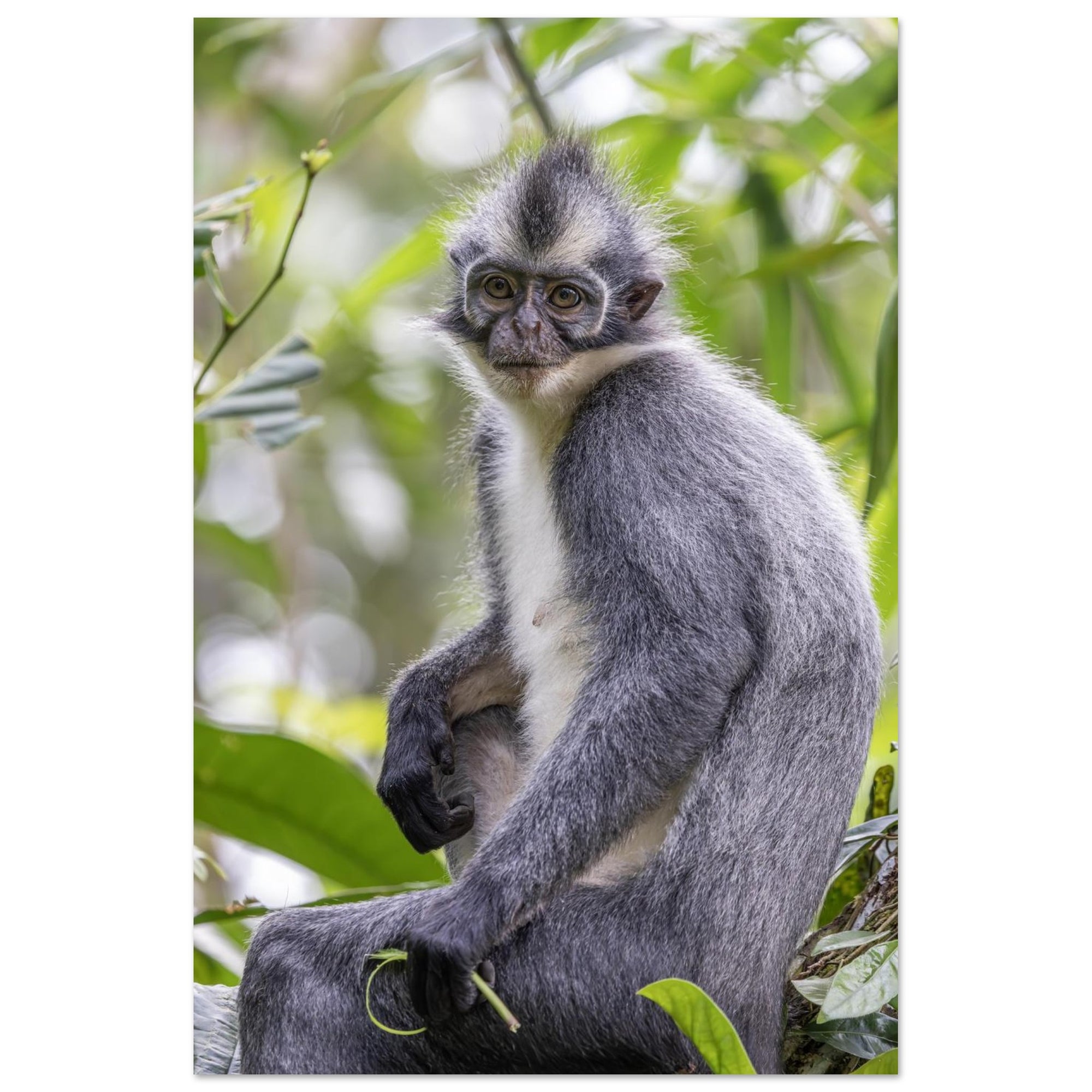 6ae9354d-cca8-4a33-b6ce-7a9eca9ae5ab