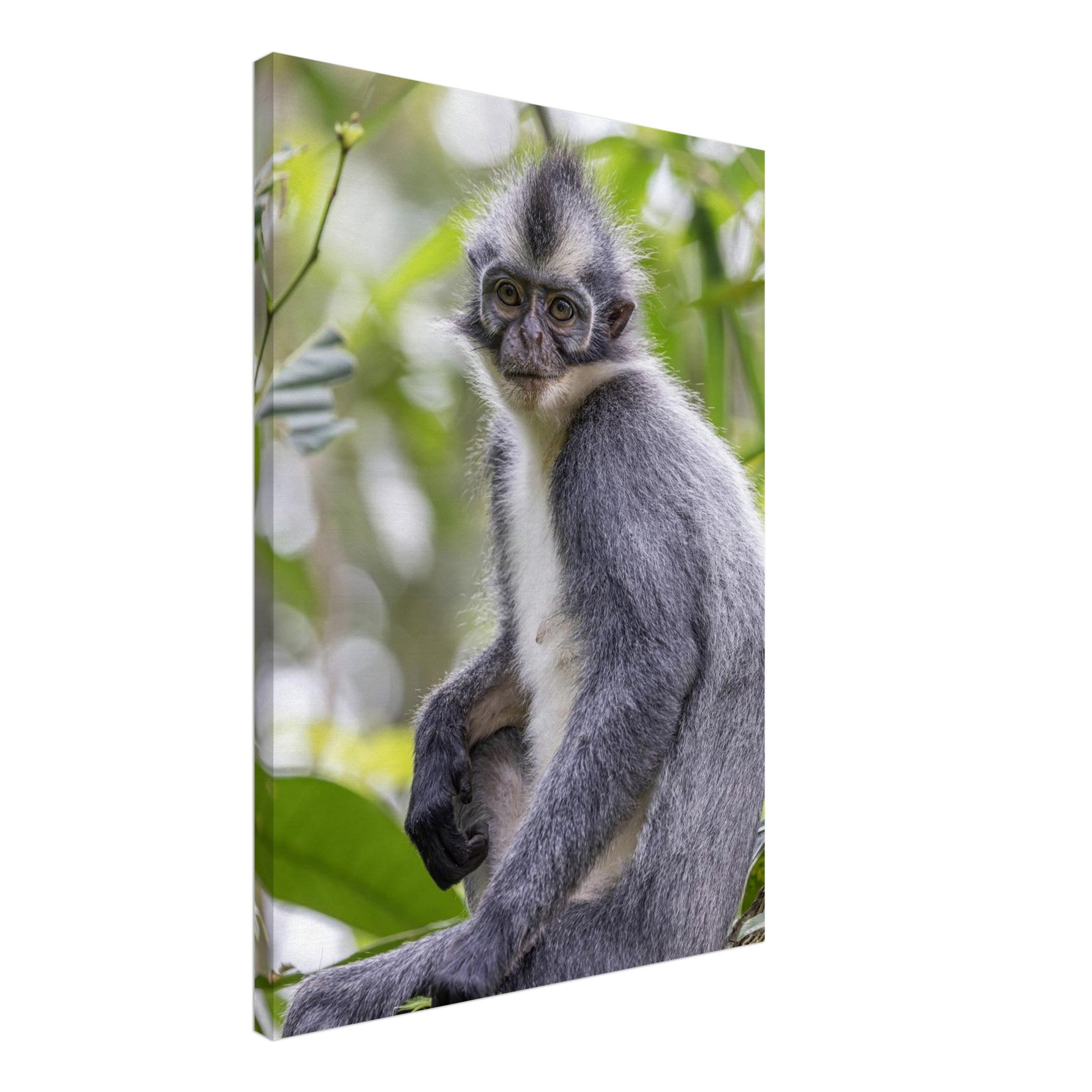 6dc1022d-7a70-4725-9d34-5975a53b0e1c