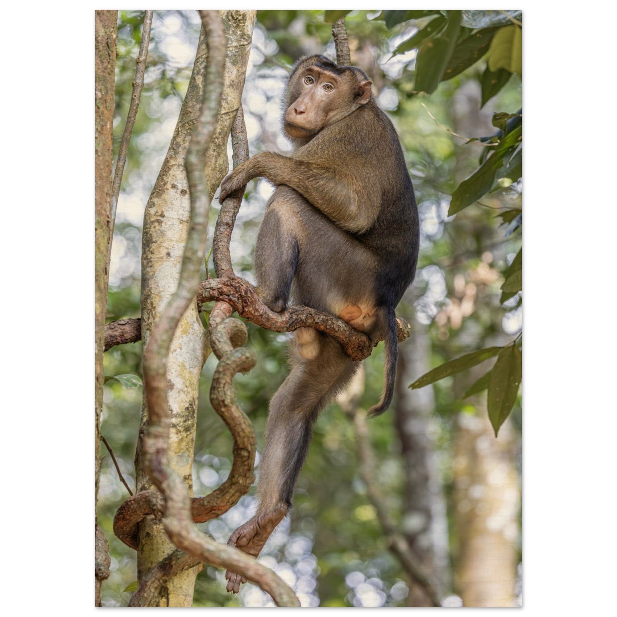 6e166184-318f-43ad-bf28-78930de7a2c6