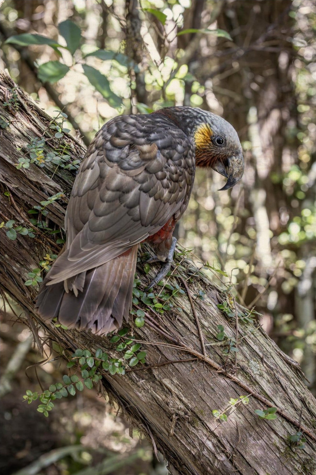 6fc5e422-a011-4d58-bd87-521ca4f3cf9f