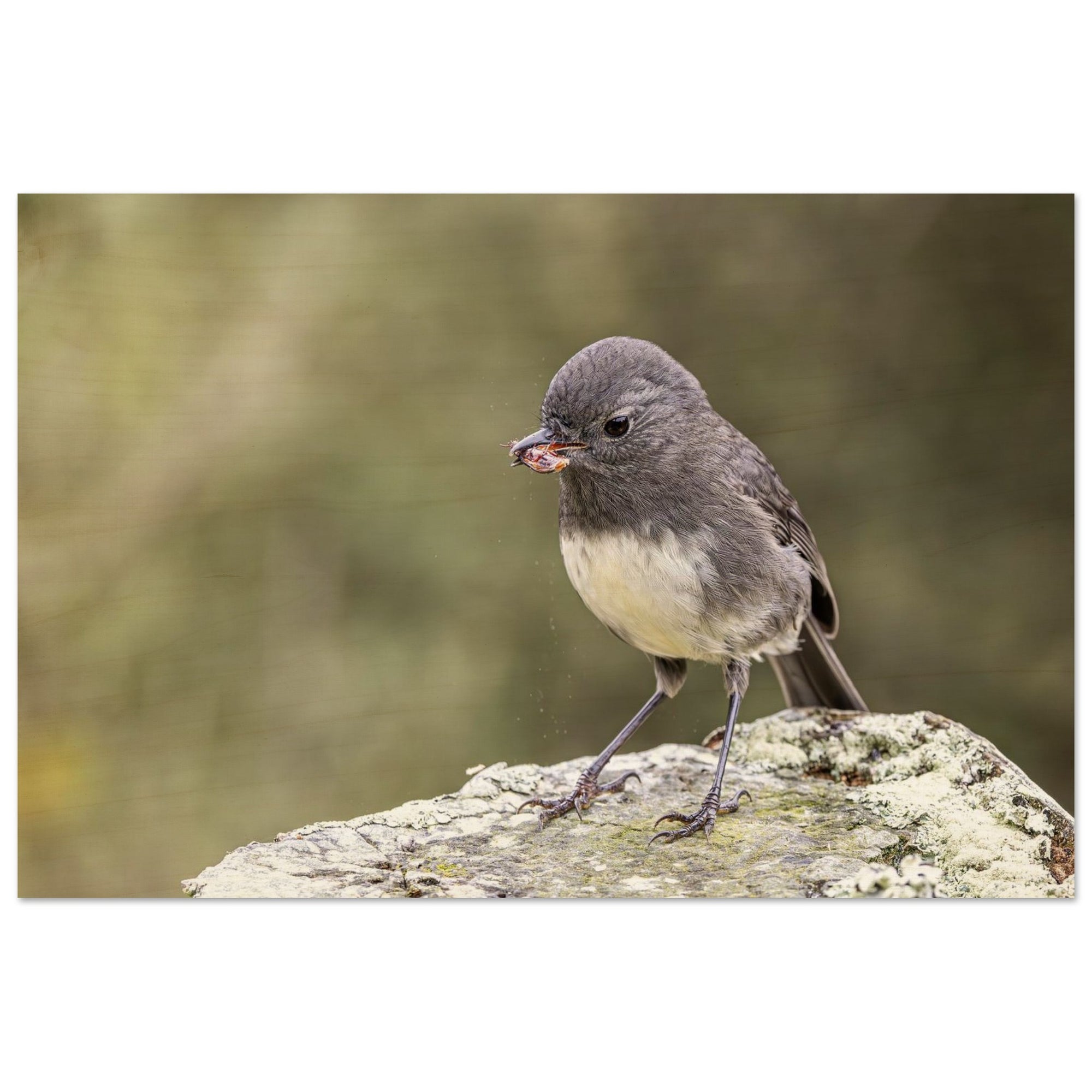 7387798f-f6a7-4e29-803e-2d489d1814e0