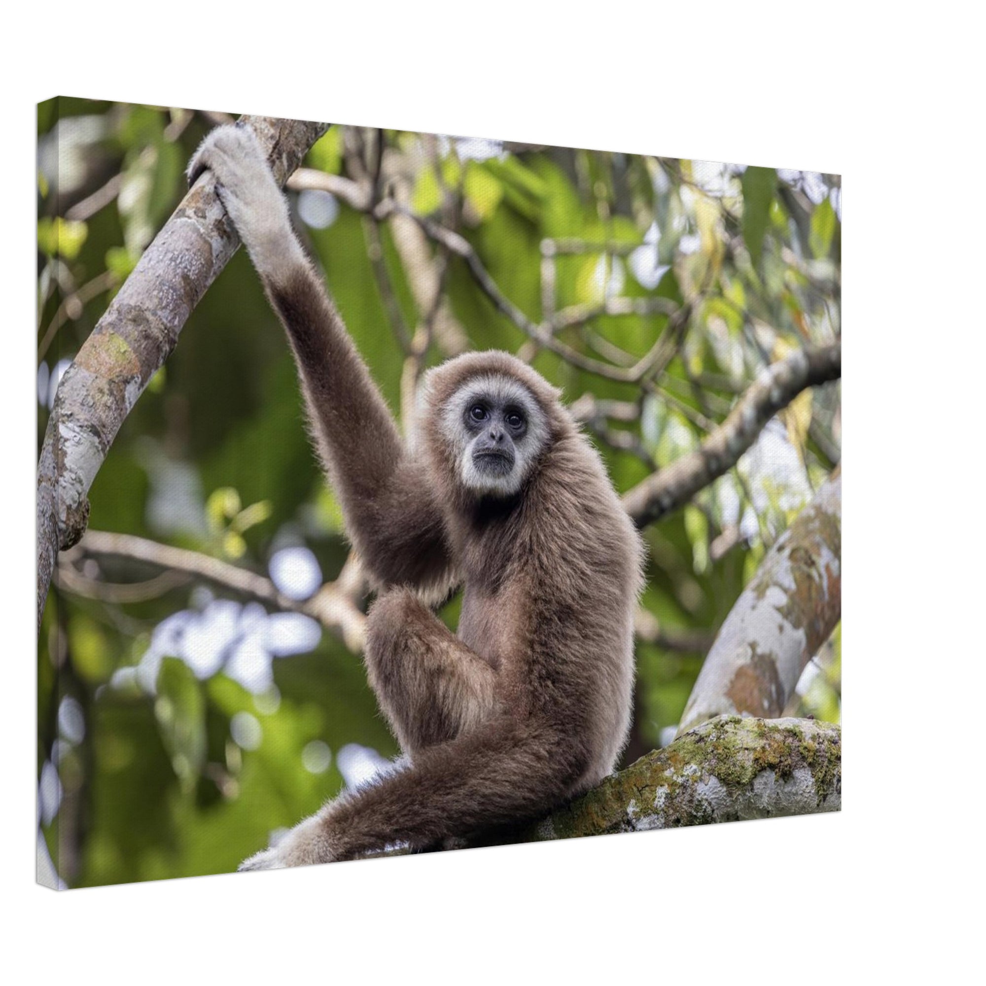 7c4dca81-c572-46b1-88fd-1b6f3a1dcba0