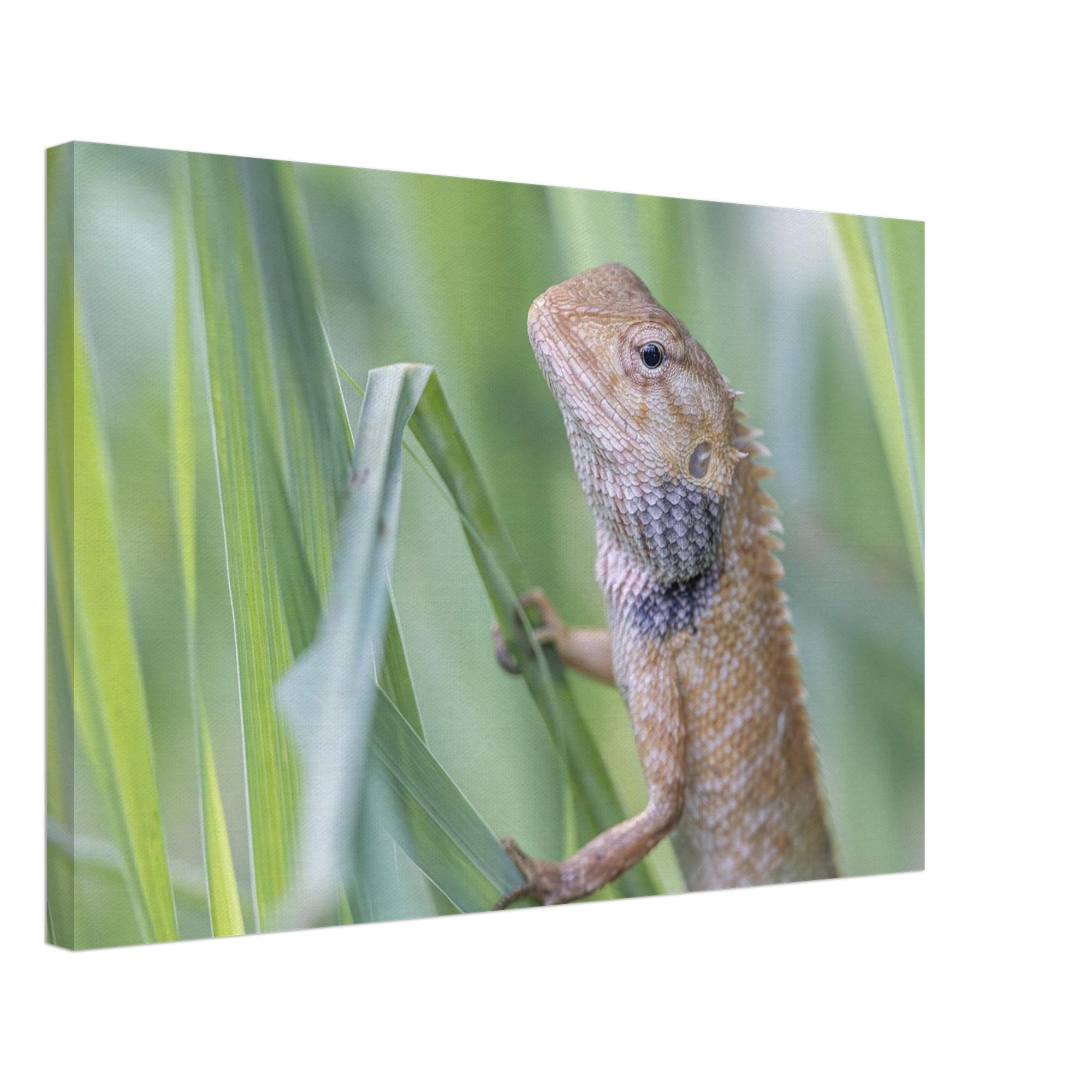 7cd0d007-a7c2-46e0-b8a5-b7c32bd882d0