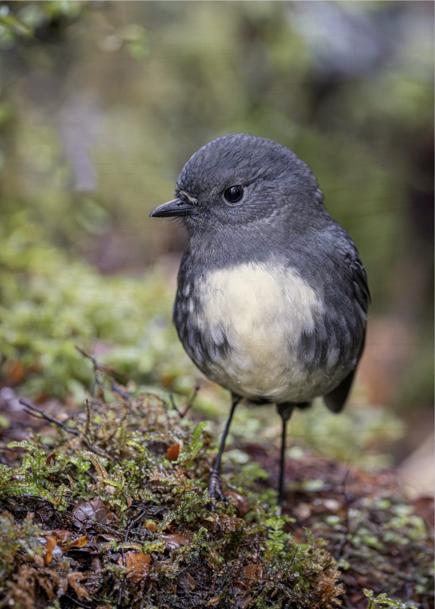 7e3639ef-3d04-4bf0-be6b-7a08092c2d9d