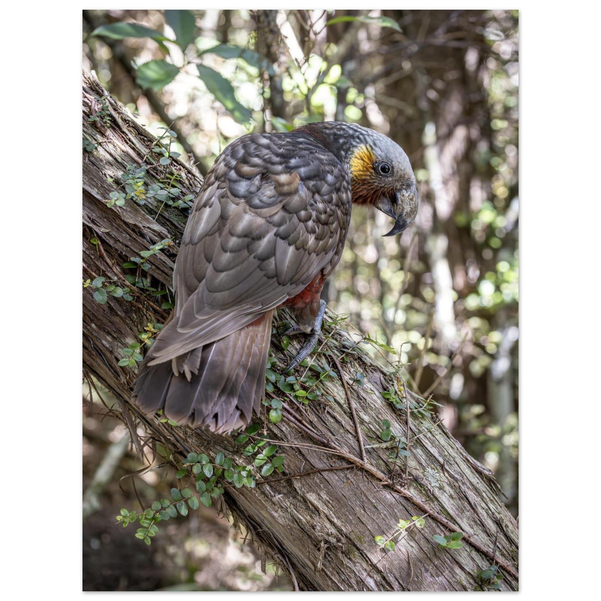 7ef03a9b-5eb6-4e37-8d0c-c3d6d319476d