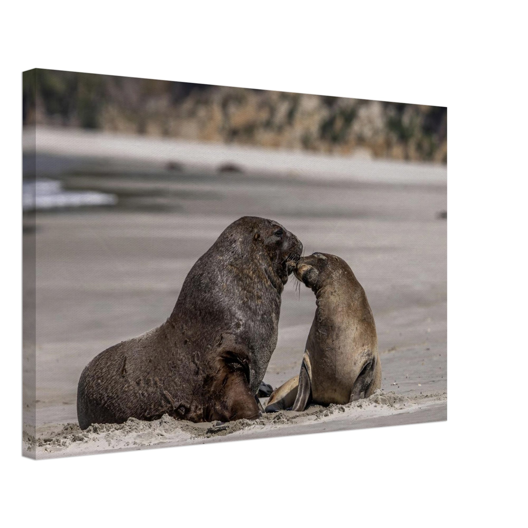 8064a2b3-2ed3-4243-9188-9c858f33690a