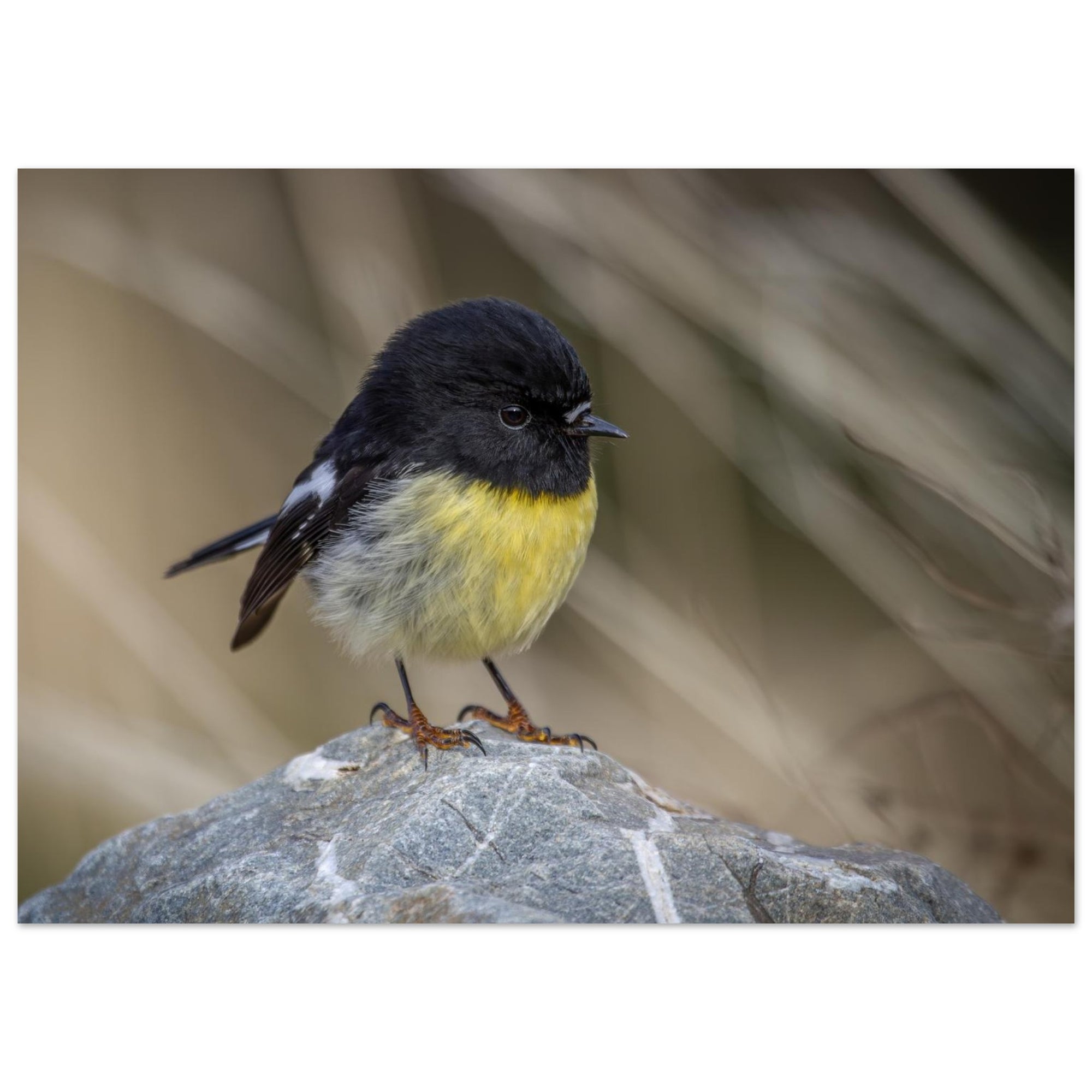 8127406d-c3bb-435f-9374-b703a962ecc3