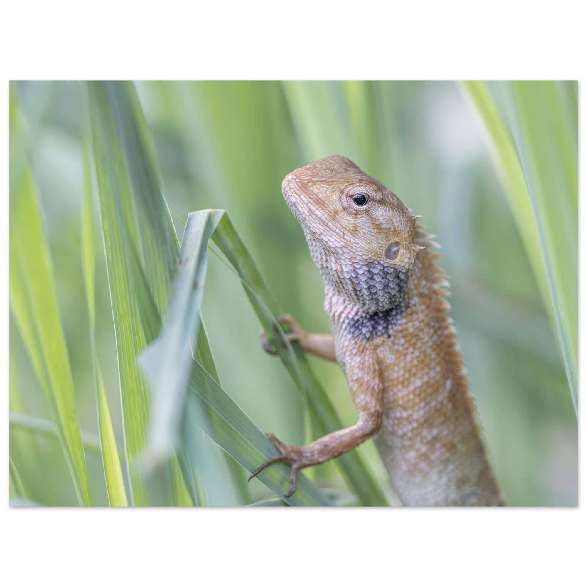 81ffc2d3-986f-49dd-9c01-5ced840a8066