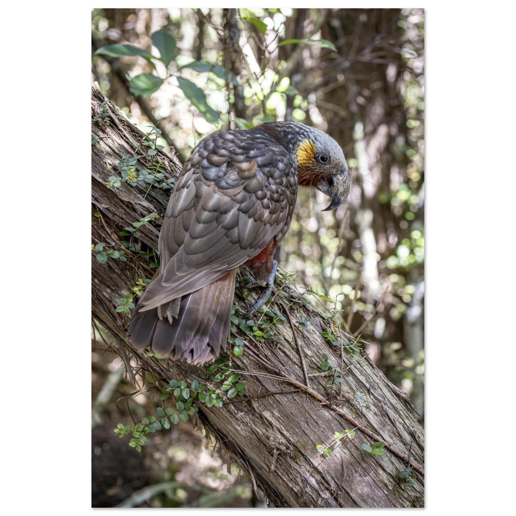 86776413-c4d1-43b5-b3e1-714294f0930c