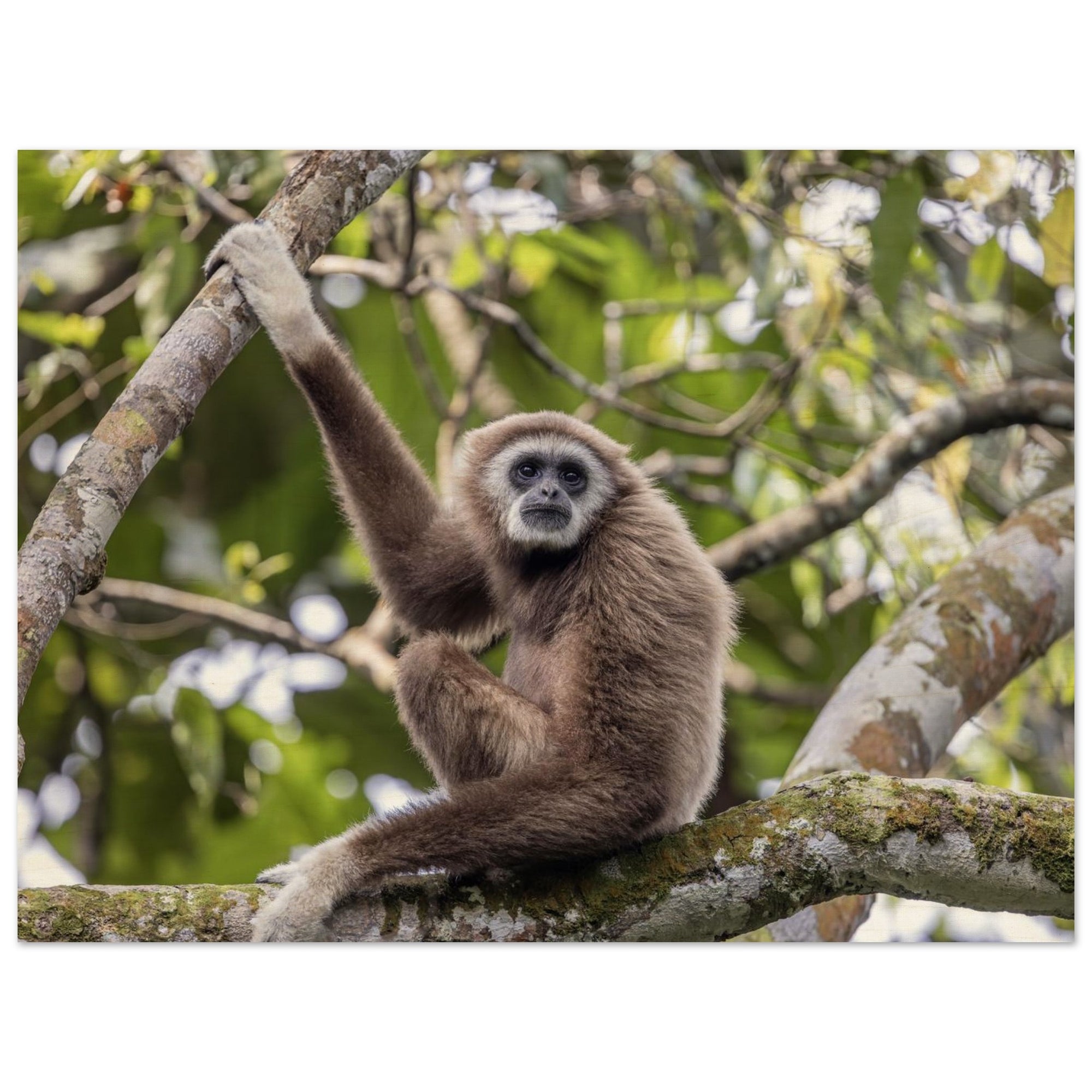 8bdb98ca-54c3-4289-86e2-5c36139c84e2