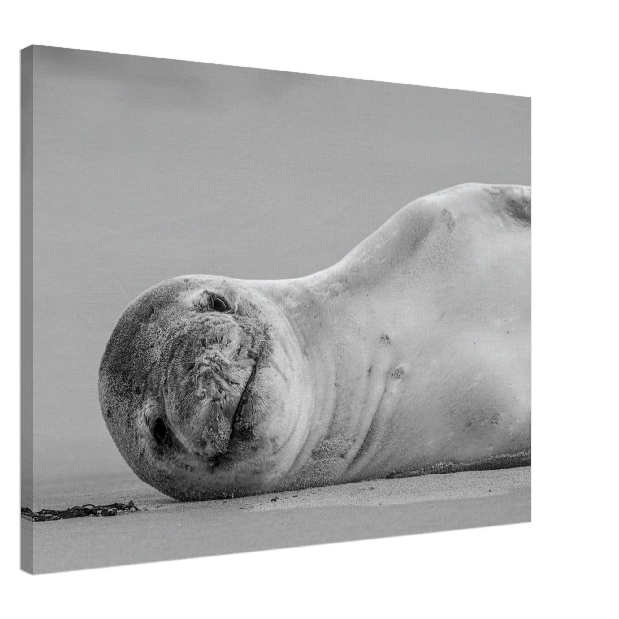 8c264f92-38db-475f-b9c6-10290059f413