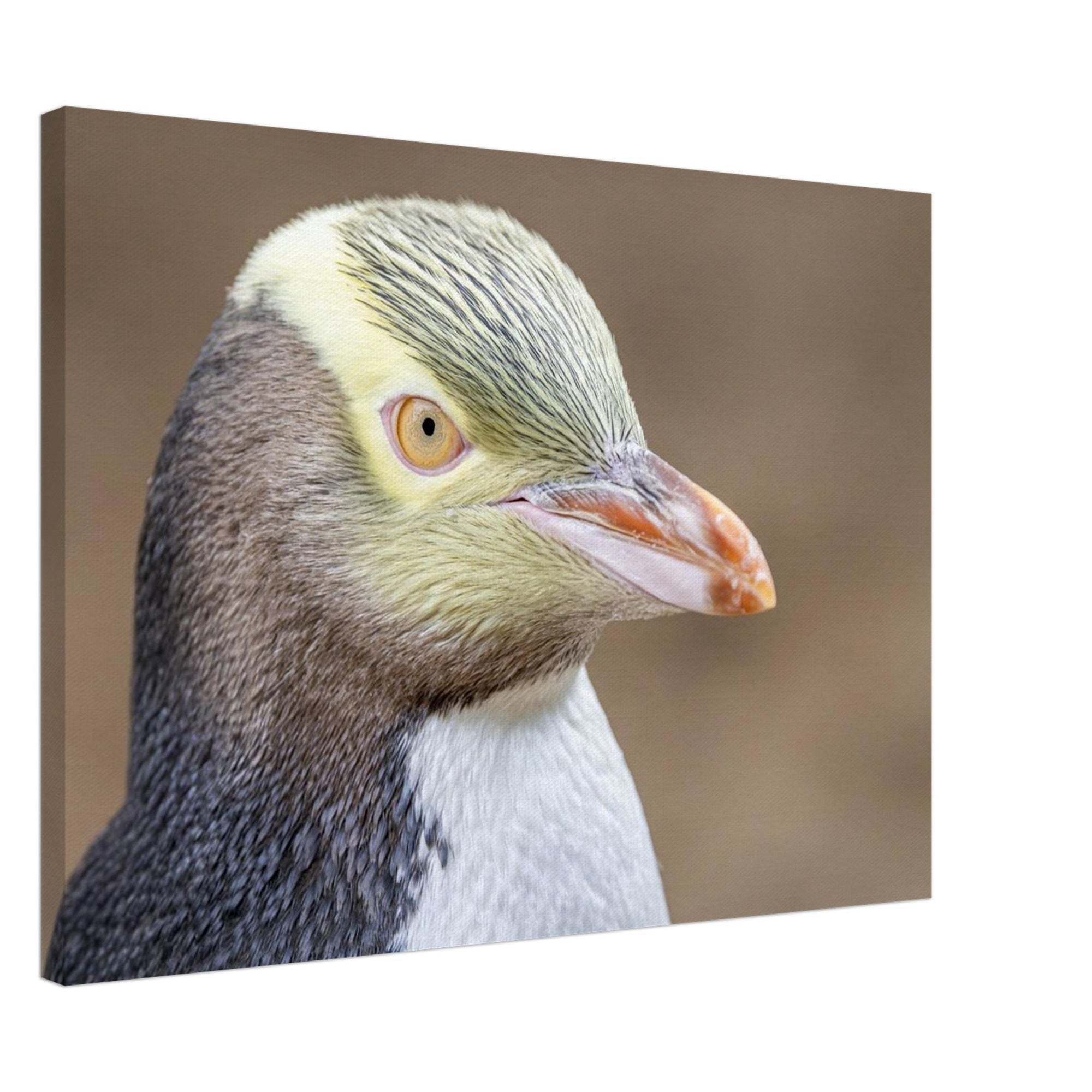 8ce3a6e8-b00d-4dea-ae46-b1289959afaa