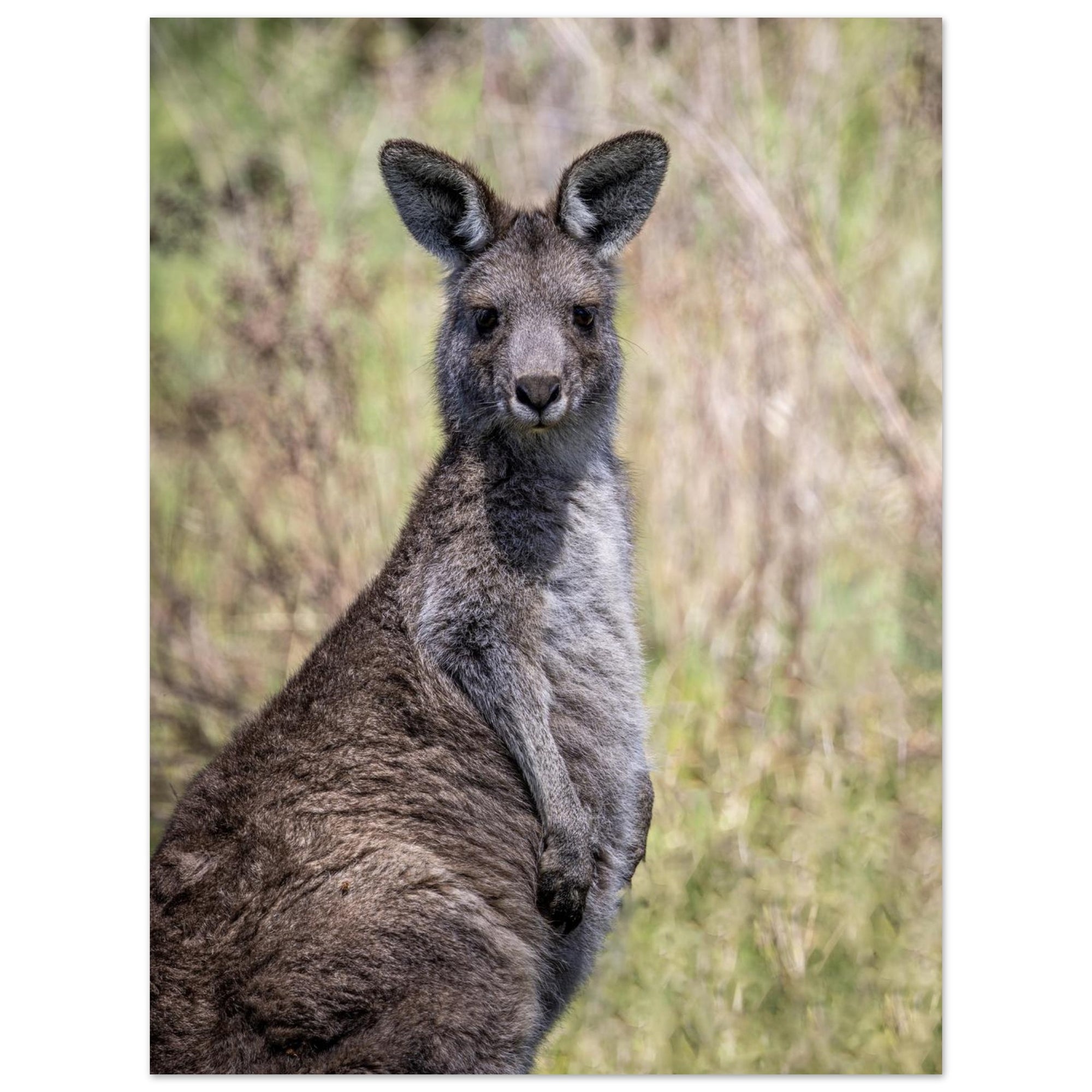 903bf99f-5809-4c99-bcd8-562ffab77410