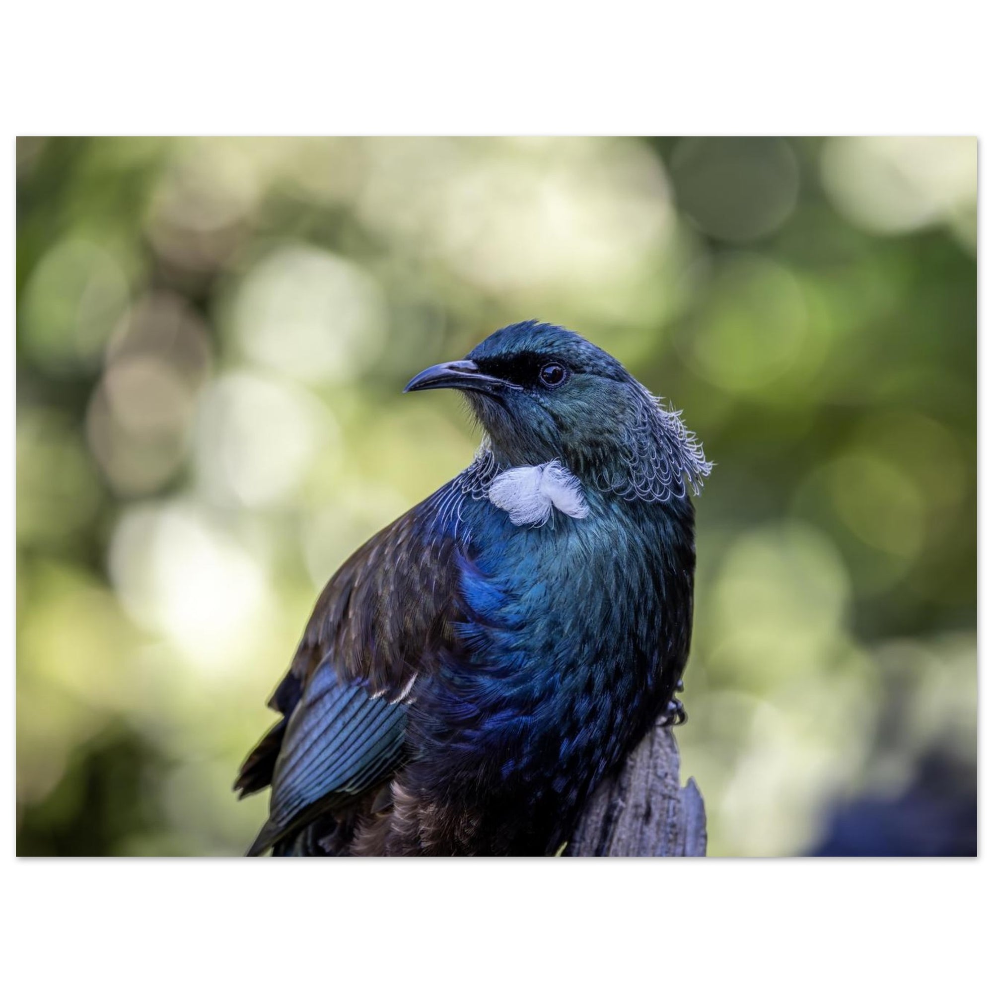 91443392-3e30-43ef-90d1-657c925659ef