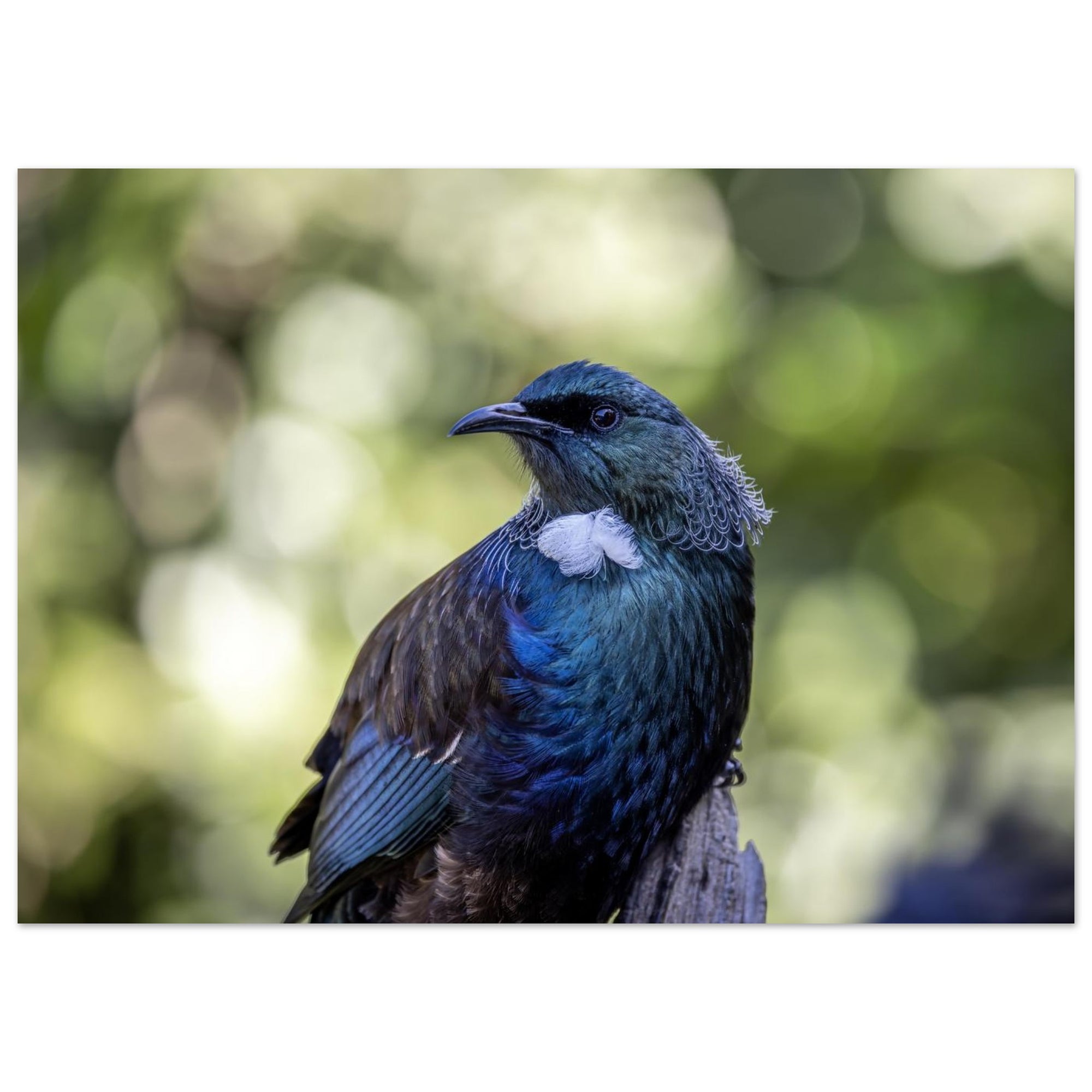 9428e71b-9117-4e26-bc8a-eedf36e51e5d