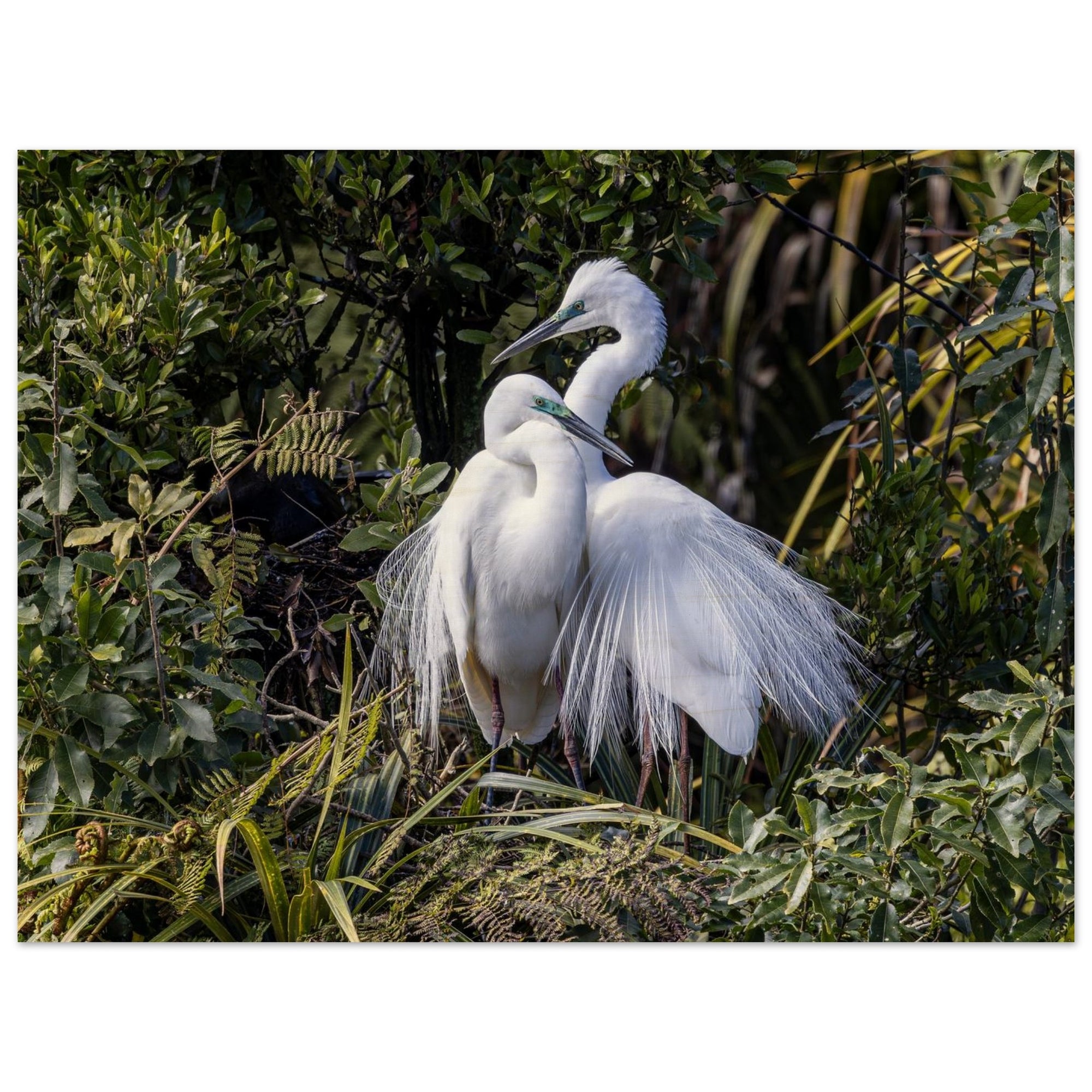 94a520ba-ee9d-4eda-8012-32b85317fc4a